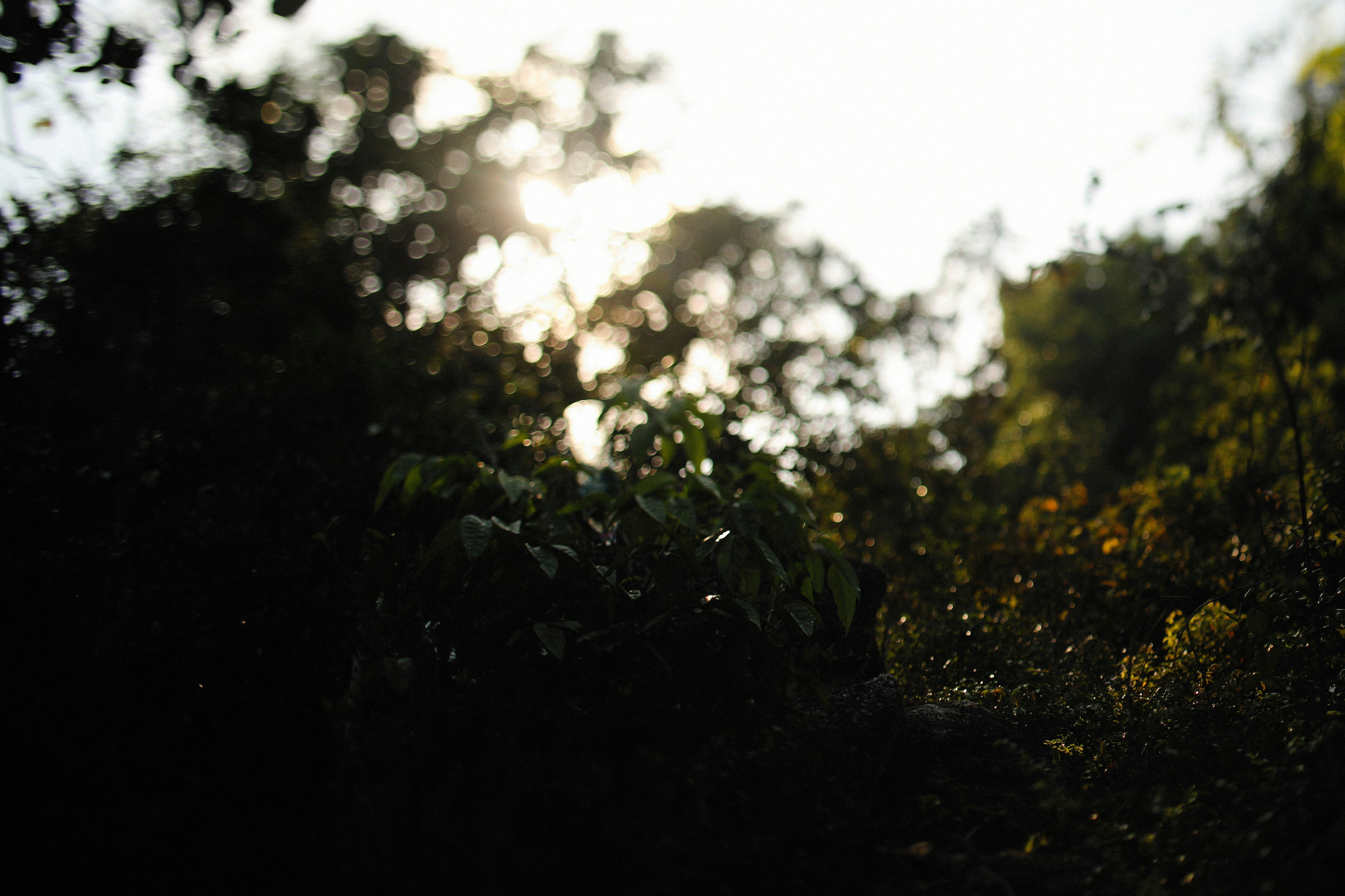 Photo by alexeydemidov