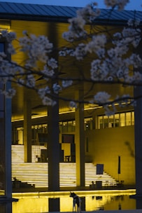 a dog standing in front of a building at night