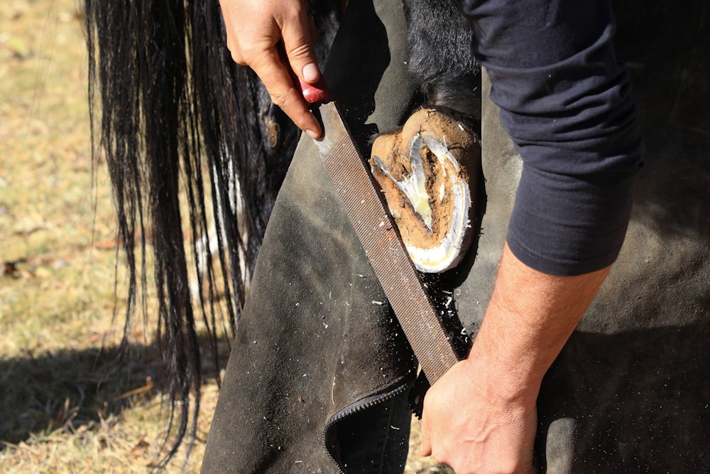 a close up of a person holding a horse