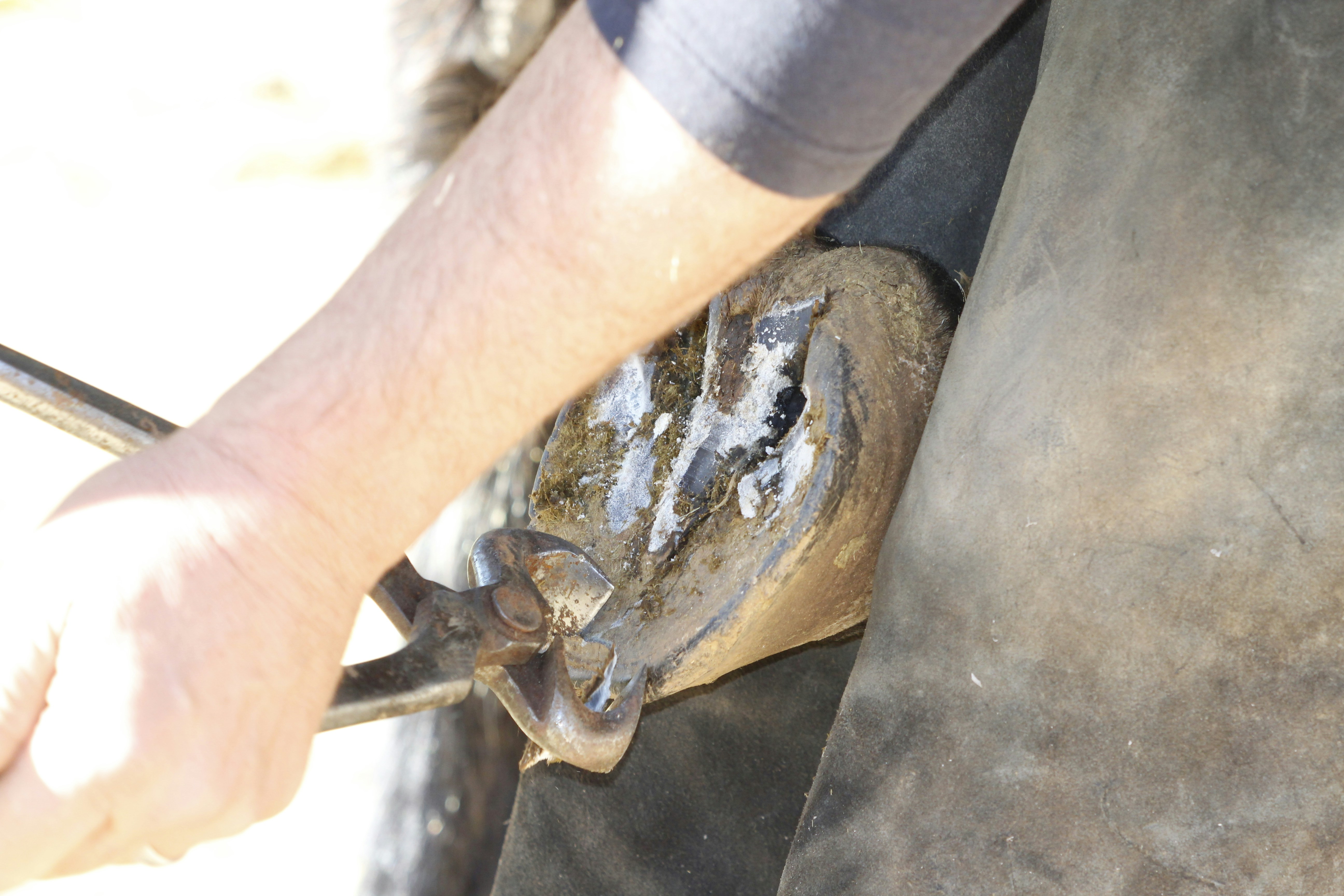 a close up of a person holding a pair of scissors