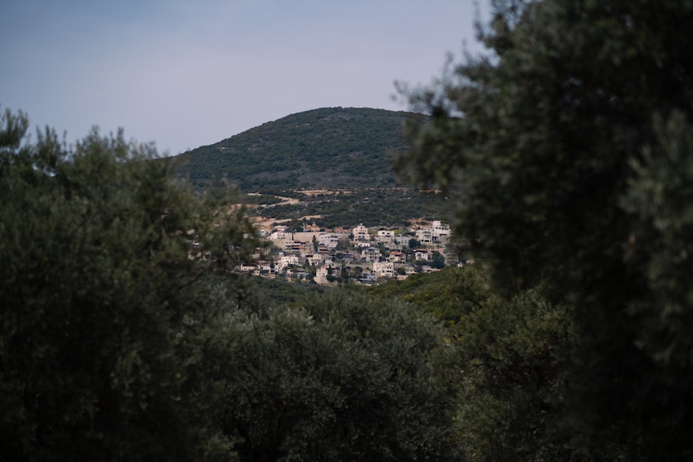 a view of a small town from a distance