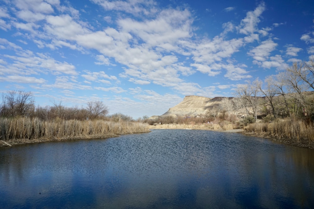 a body of water surrounded by dry grass and trees