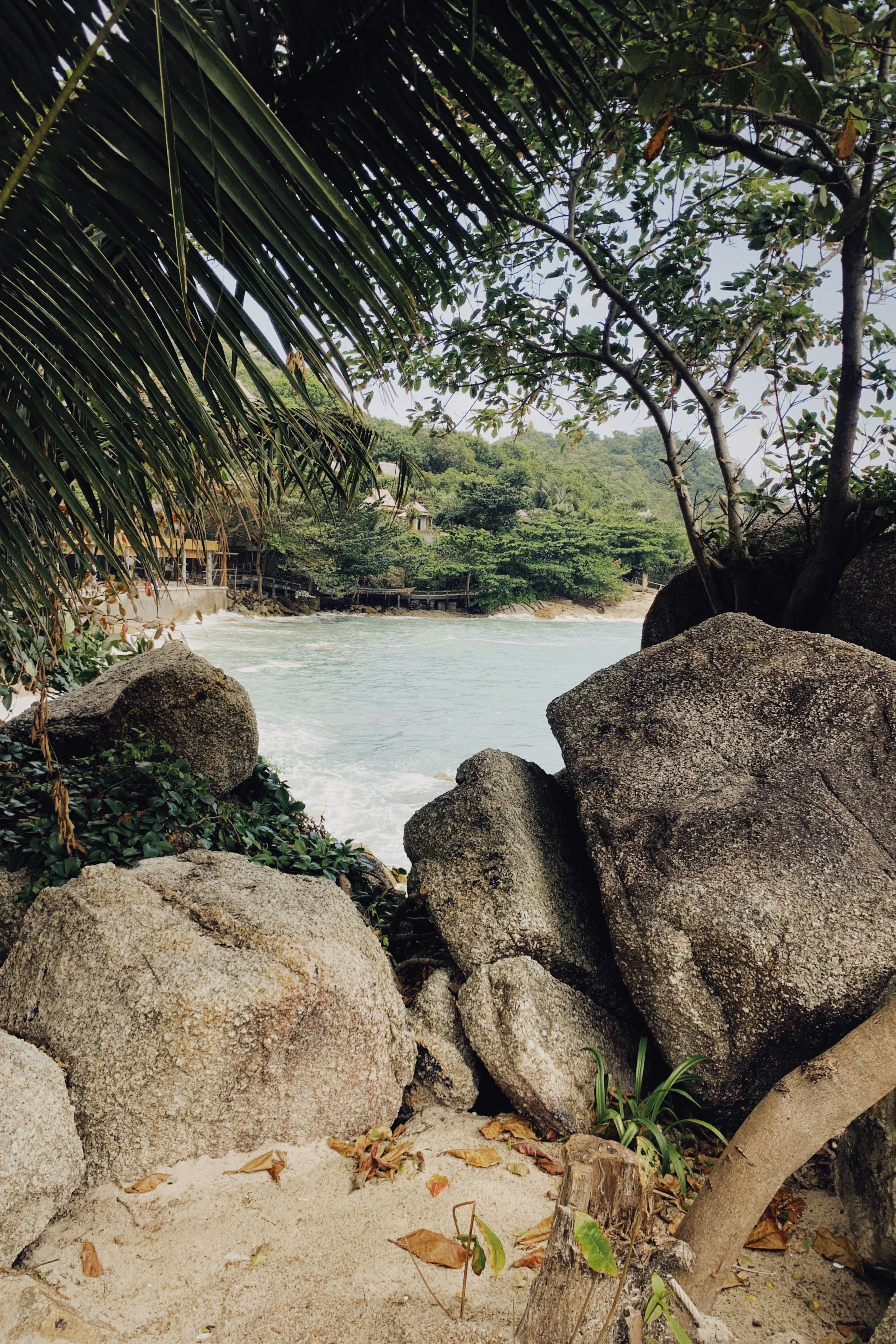 Photo by alexeydemidov