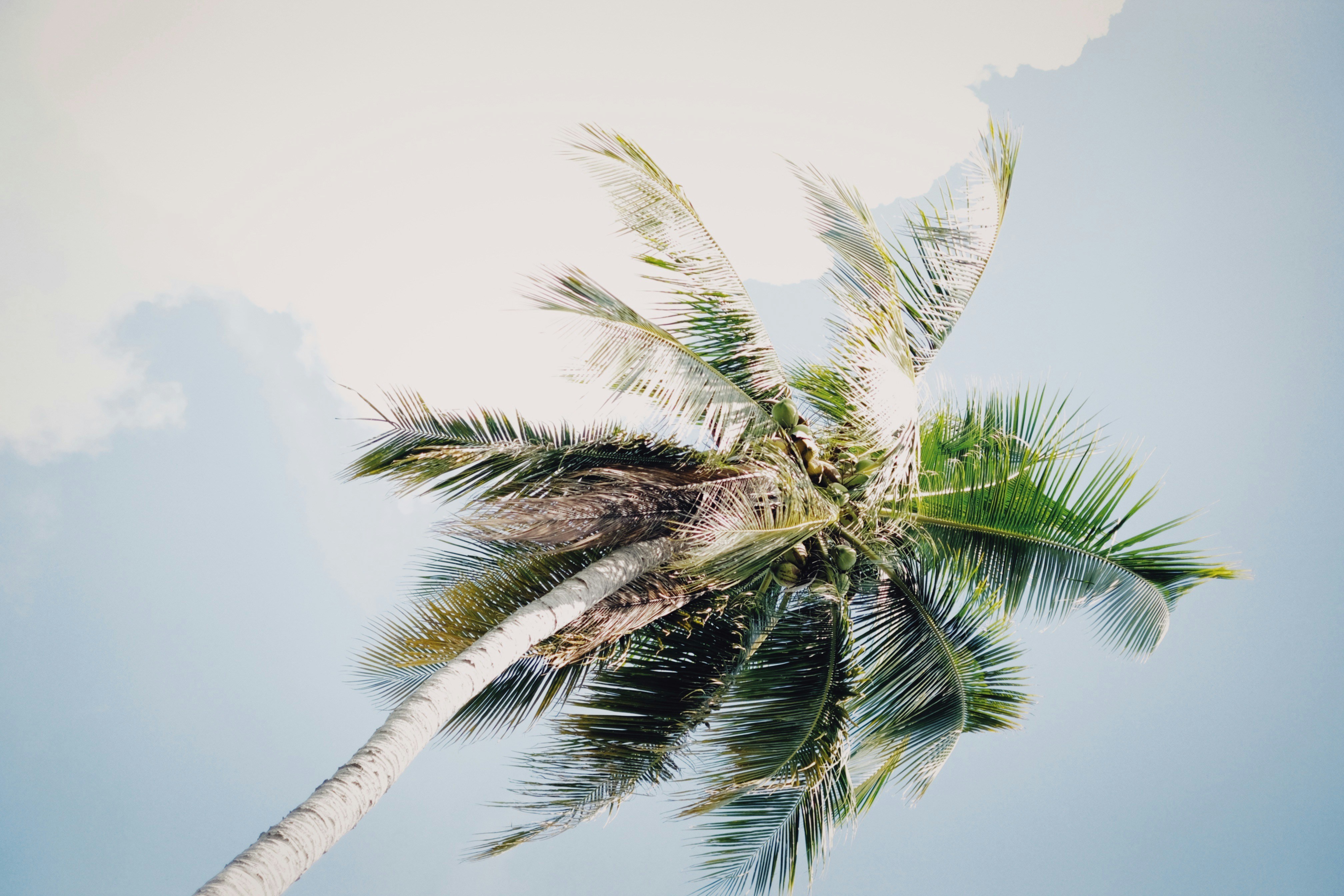 Photo by alexeydemidov