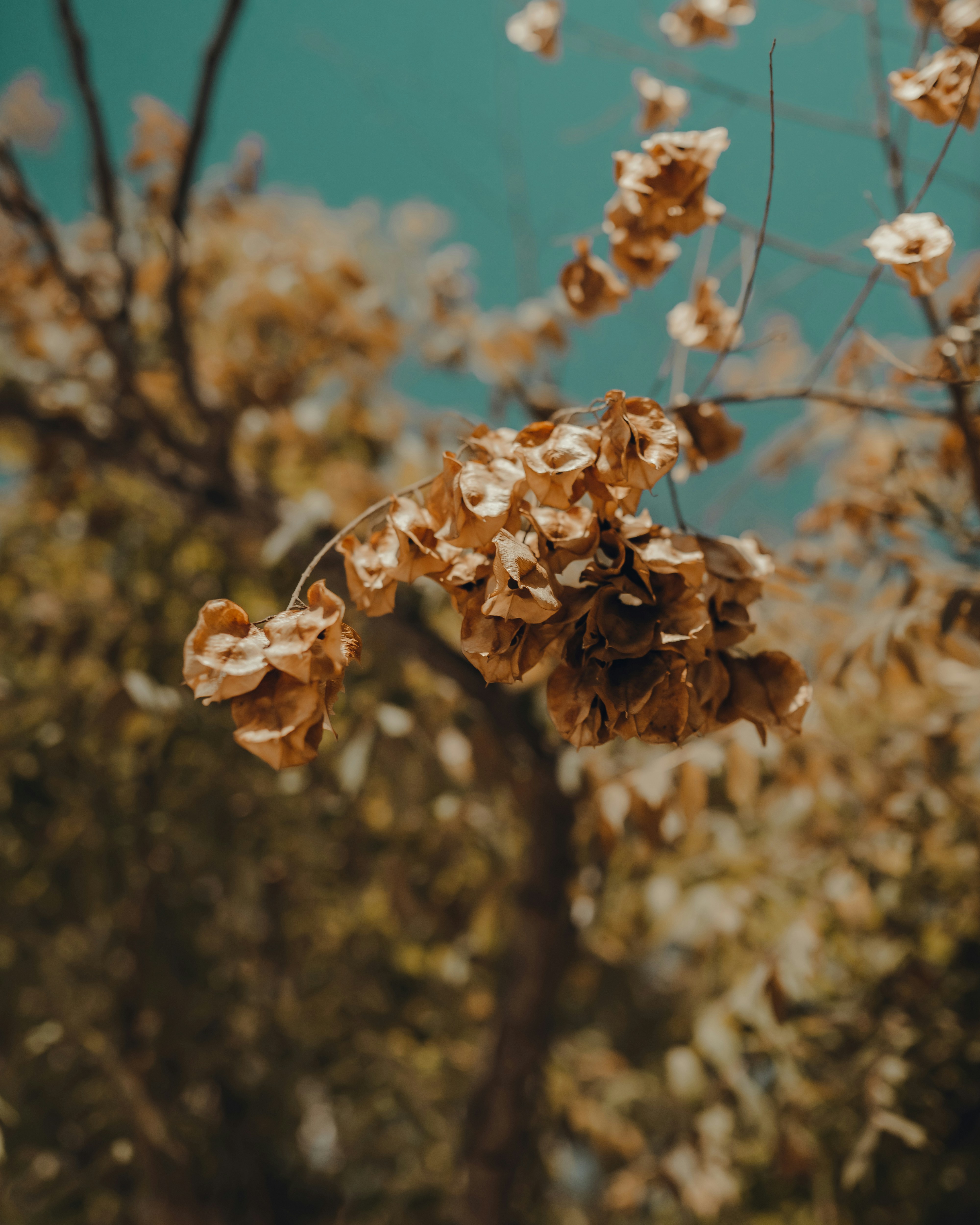 Photo by heyitsjamaal