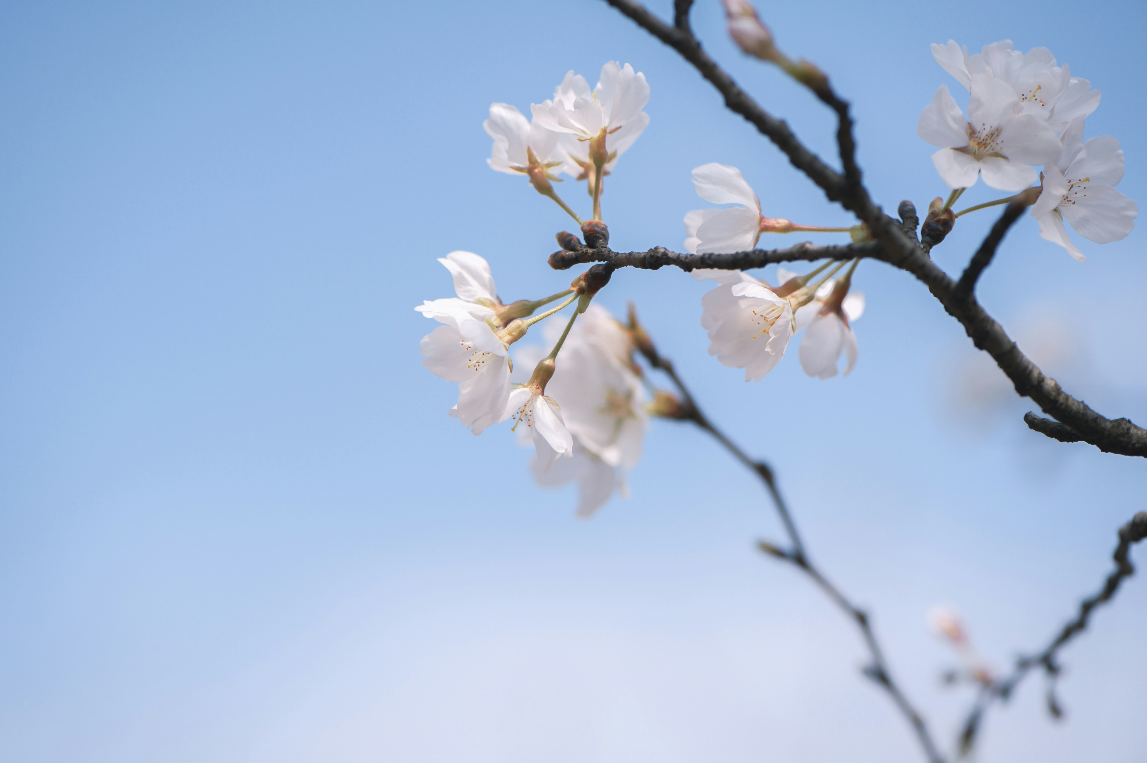 Photo by fan_world2020