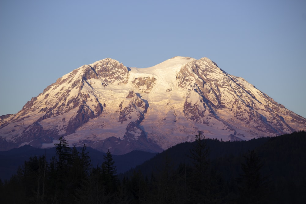 a snow covered mountain with trees in the foreground