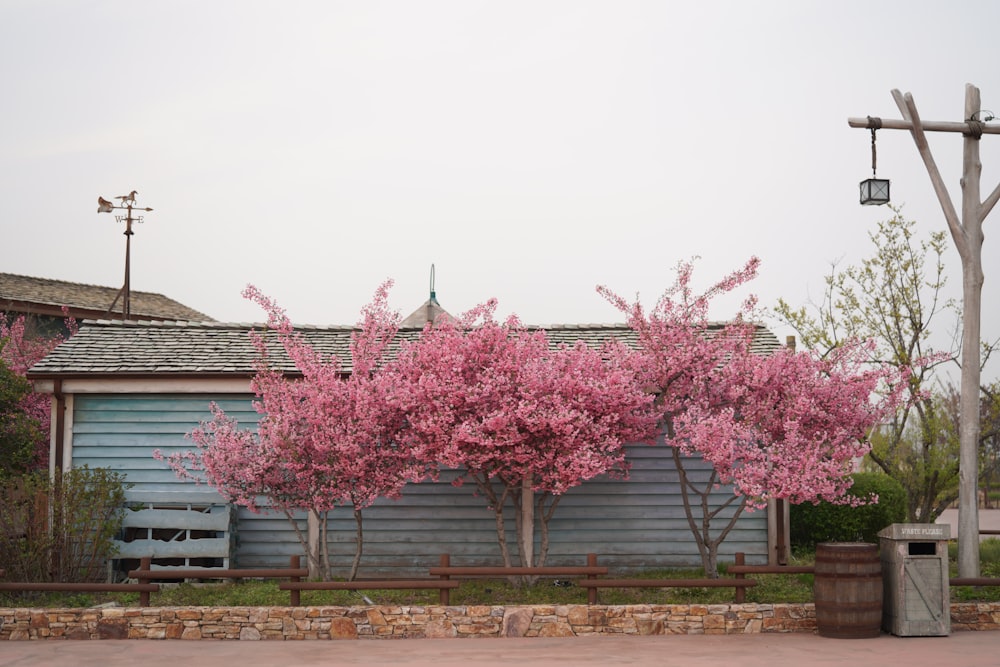 a blue building with pink trees in front of it
