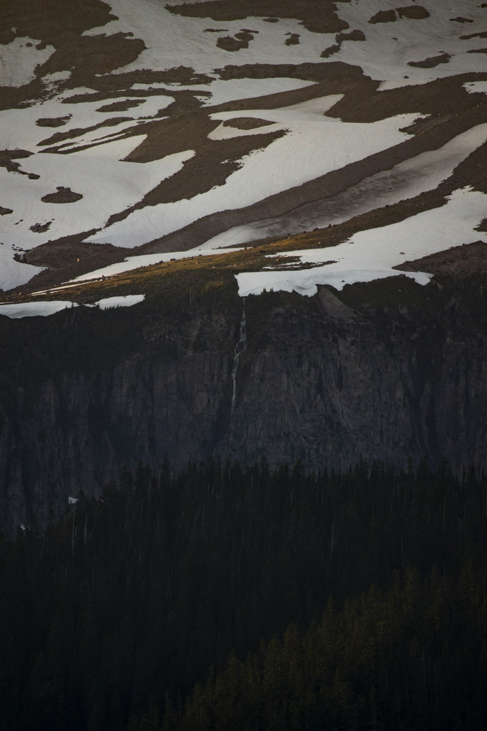 a snow covered mountain with a forest below