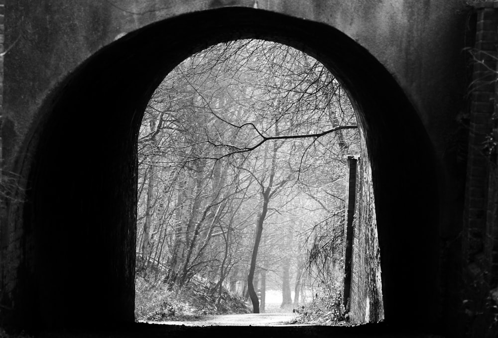 a black and white photo of a tunnel in the woods