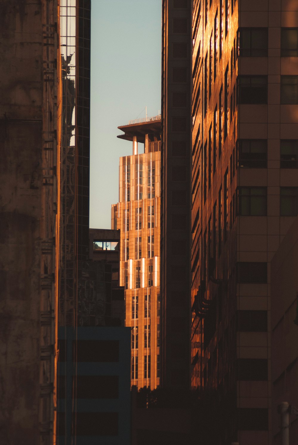 Una vista de una ciudad con edificios altos