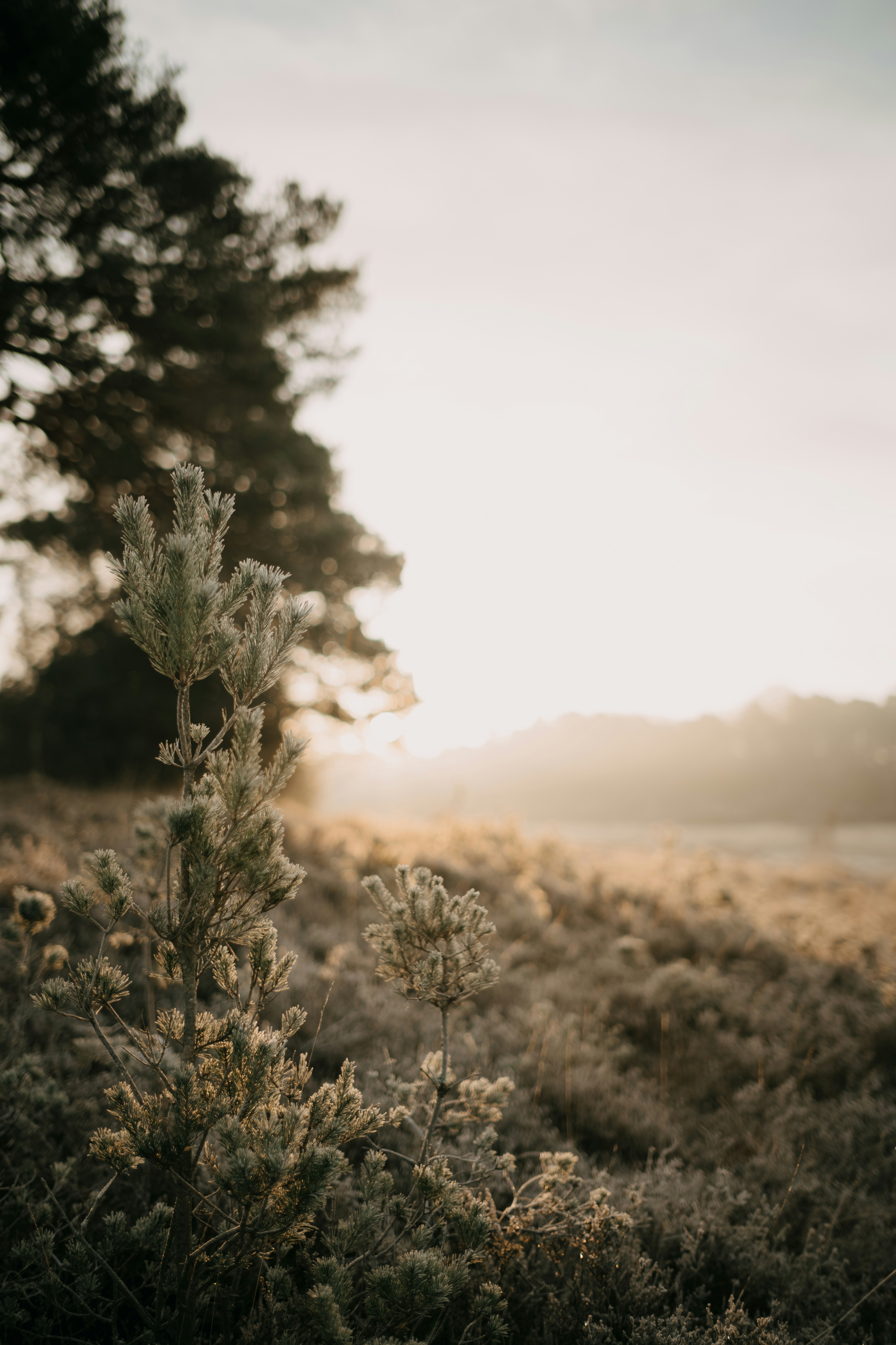 Photo by anniespratt