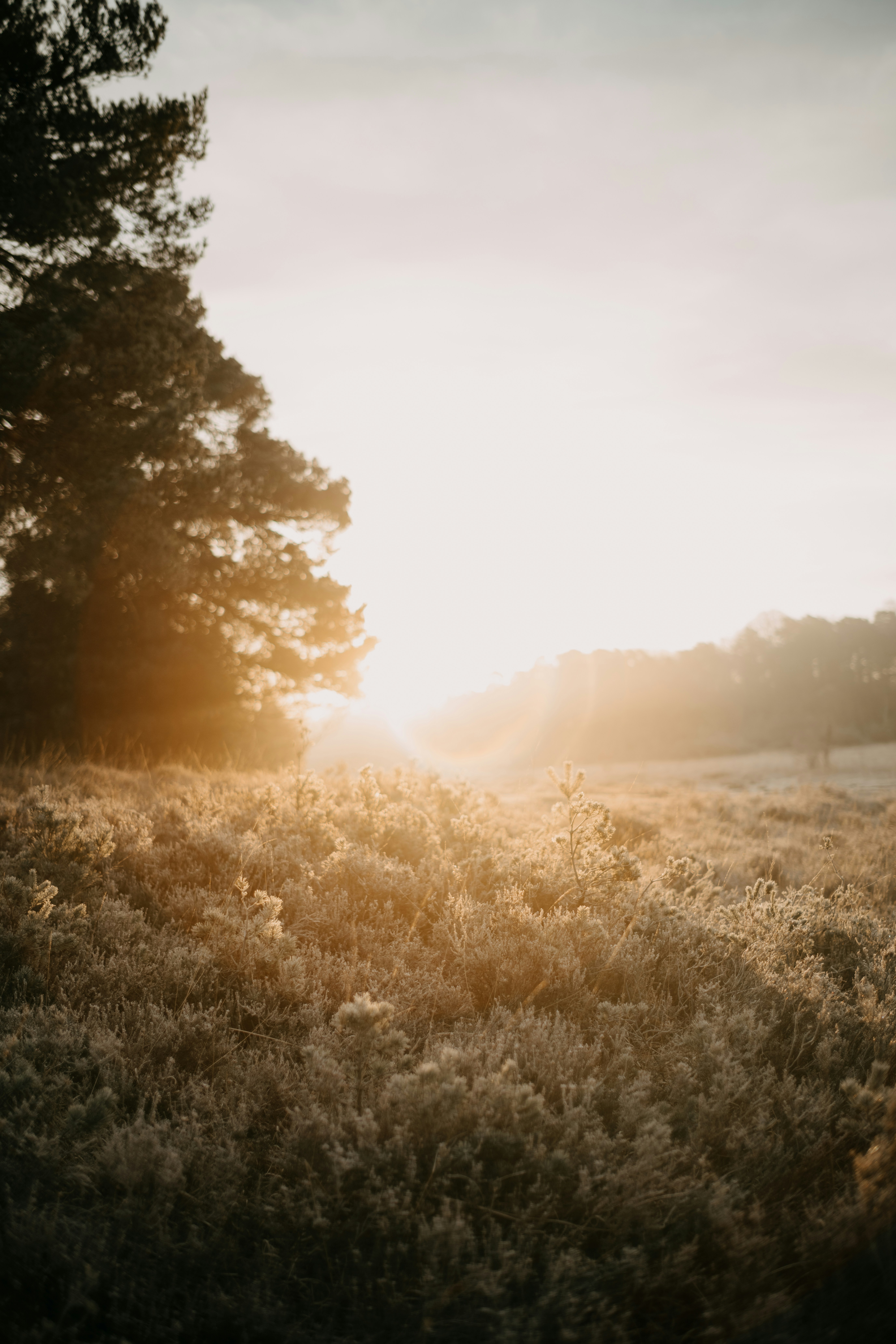 Photo by anniespratt