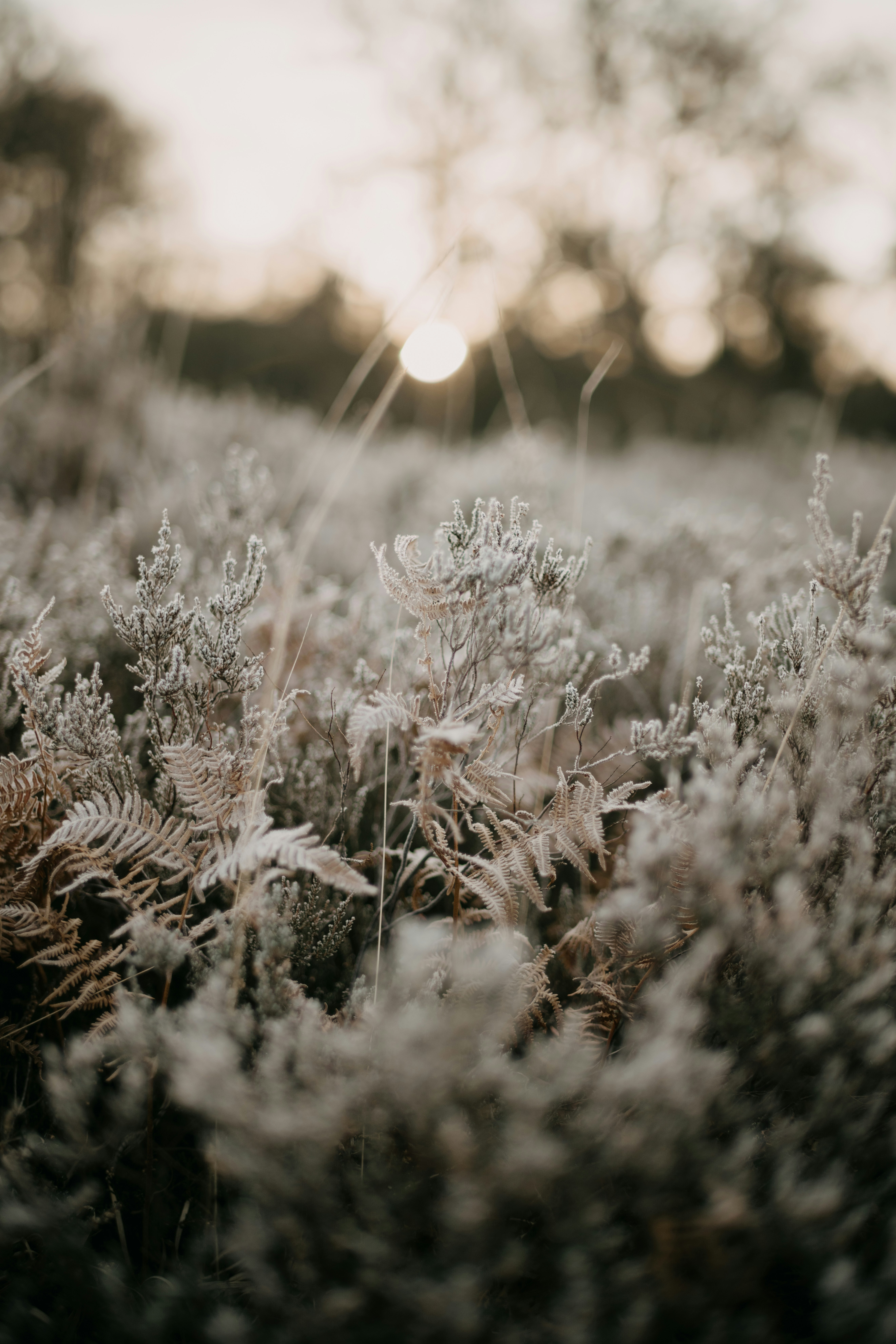 Photo by anniespratt