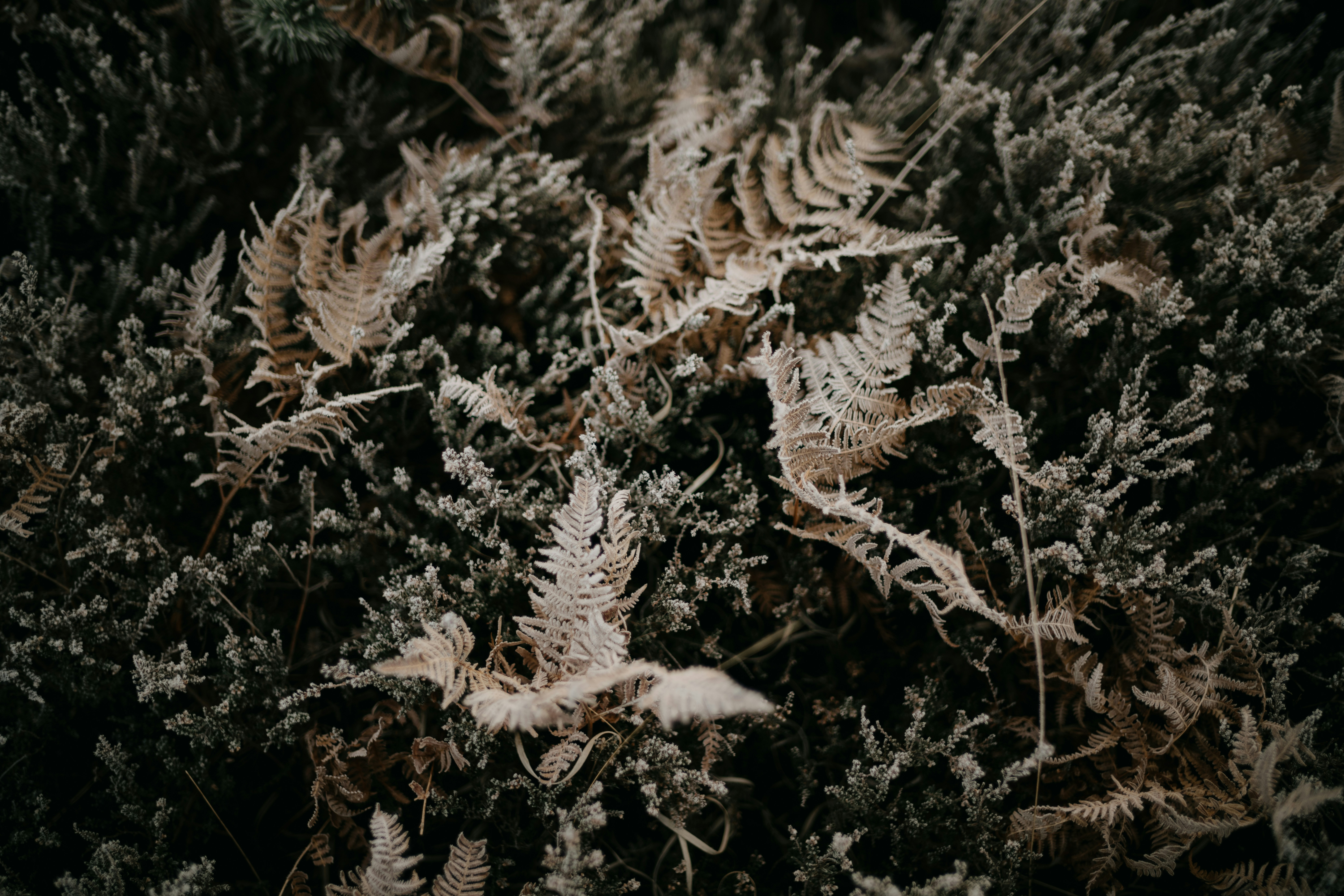 Photo by anniespratt