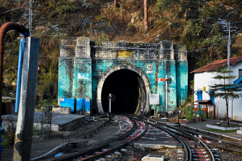a train traveling through a tunnel next to a forest