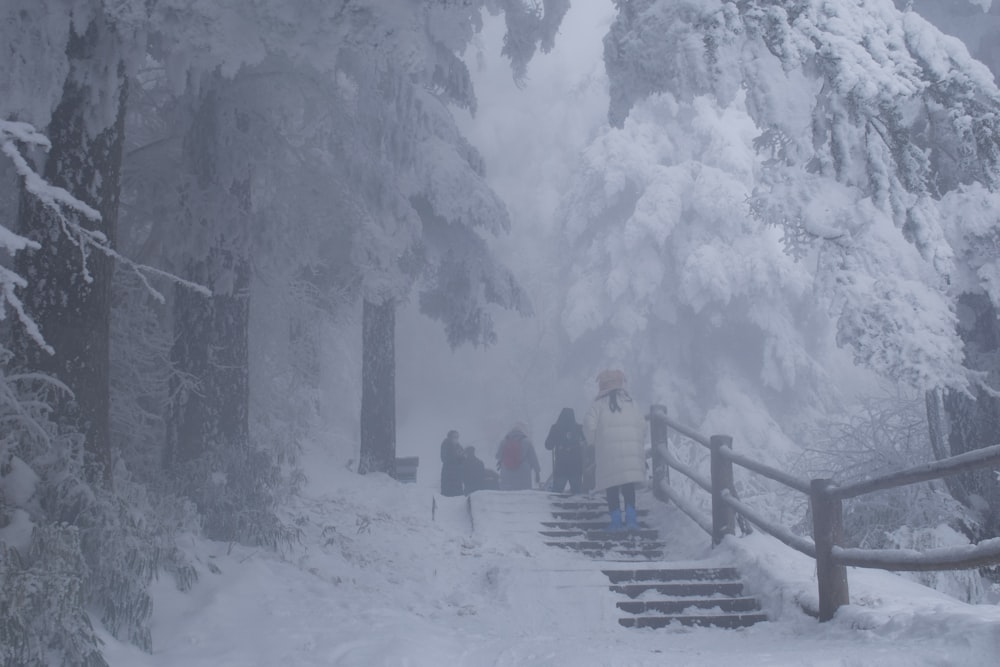 a group of people walking up a snow covered stairs