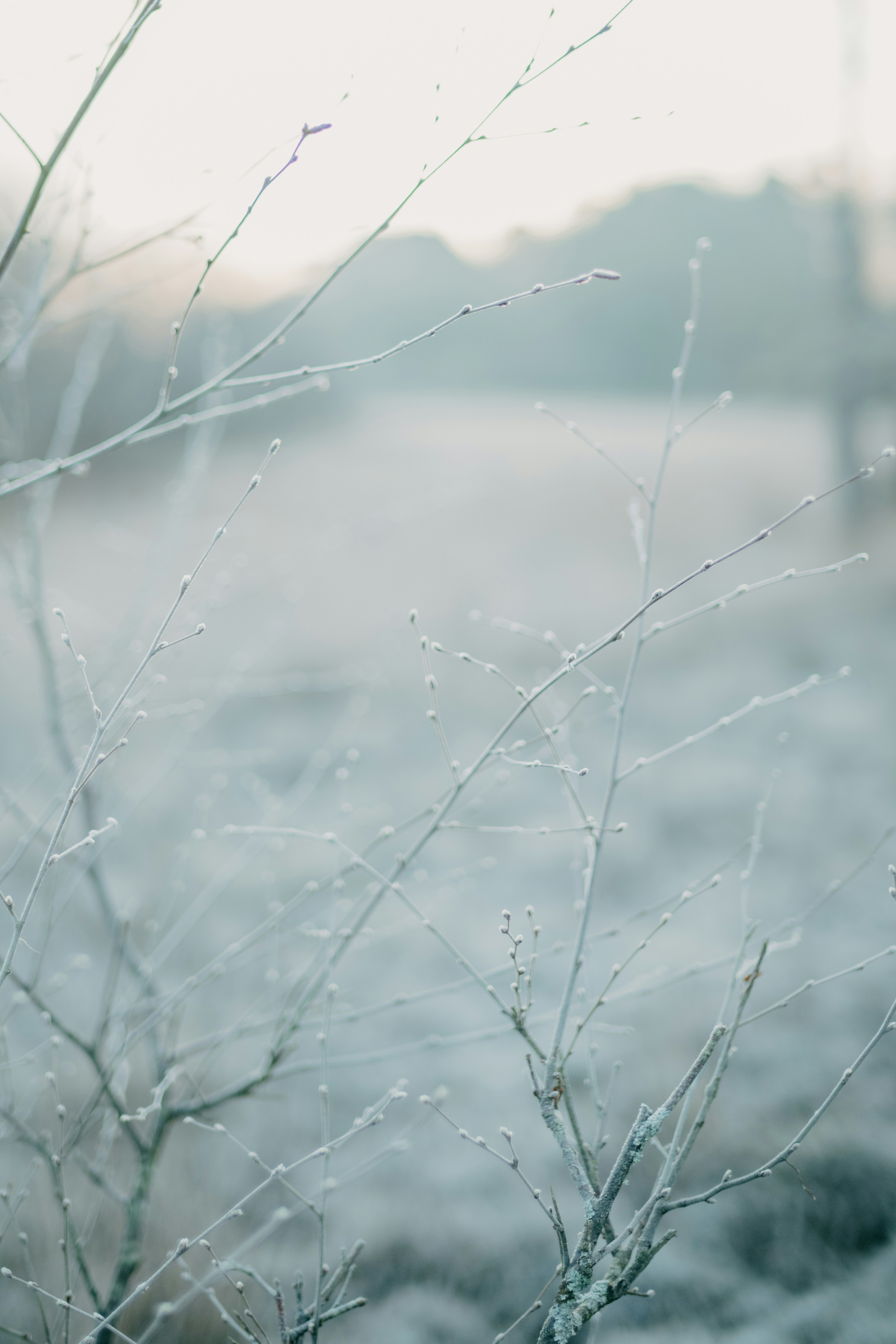 Photo by anniespratt