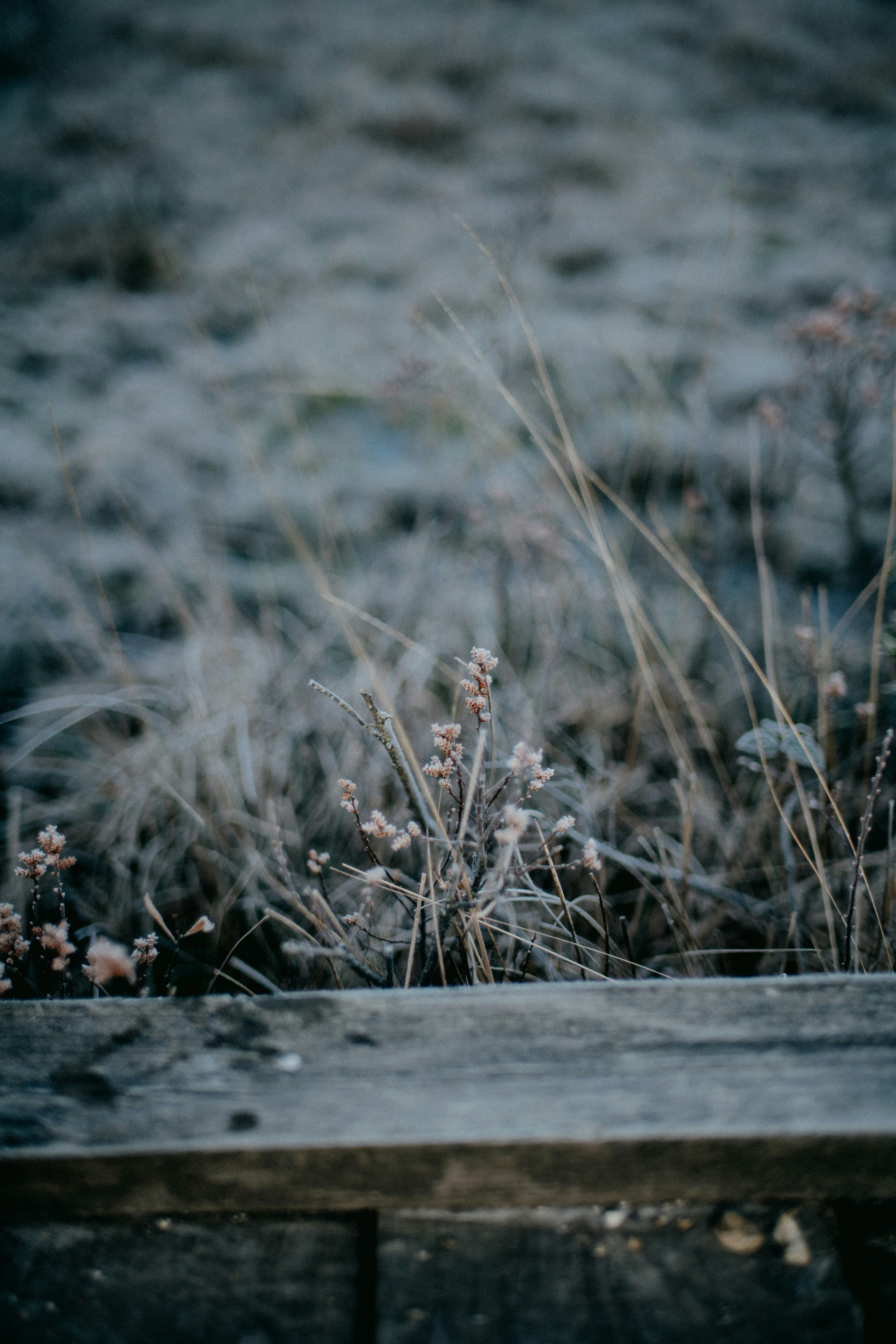 Photo by anniespratt