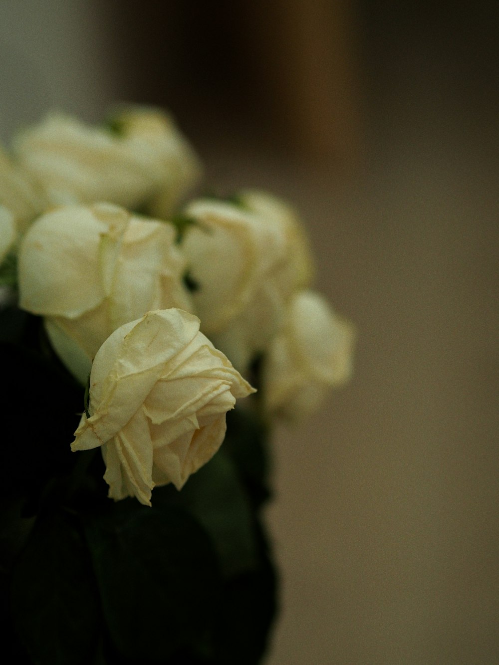 a bunch of flowers that are in a vase