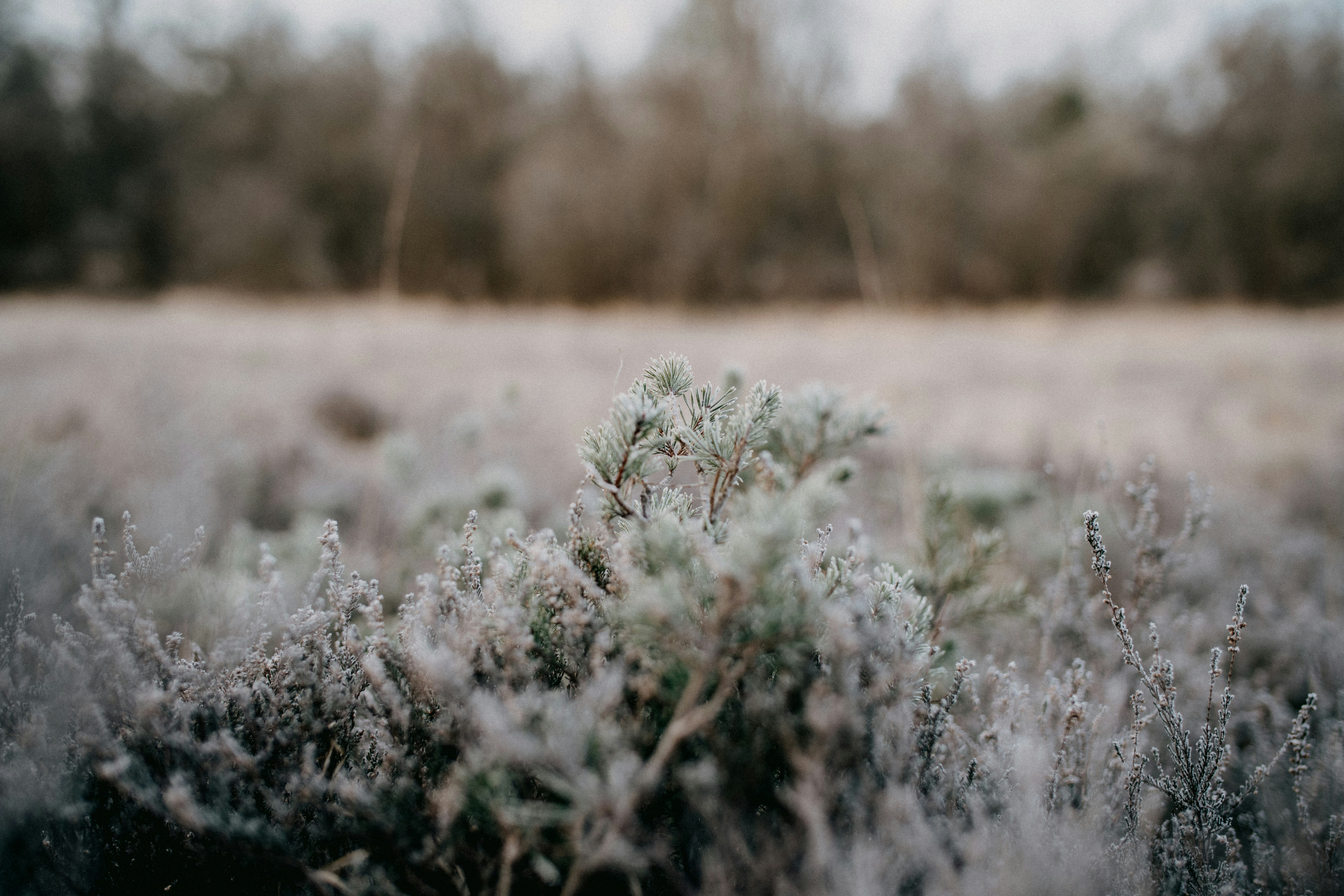 Photo by anniespratt