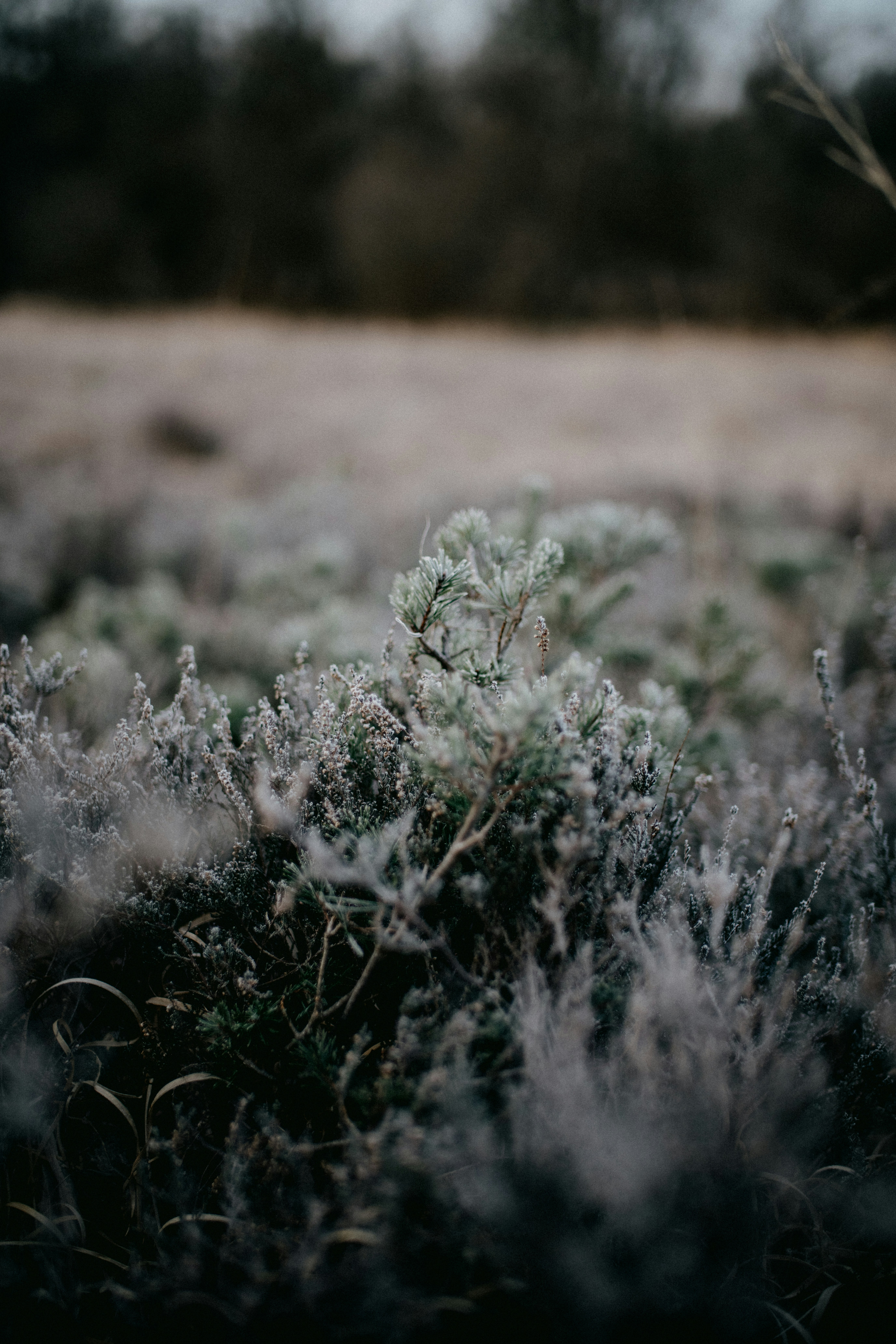 Photo by anniespratt