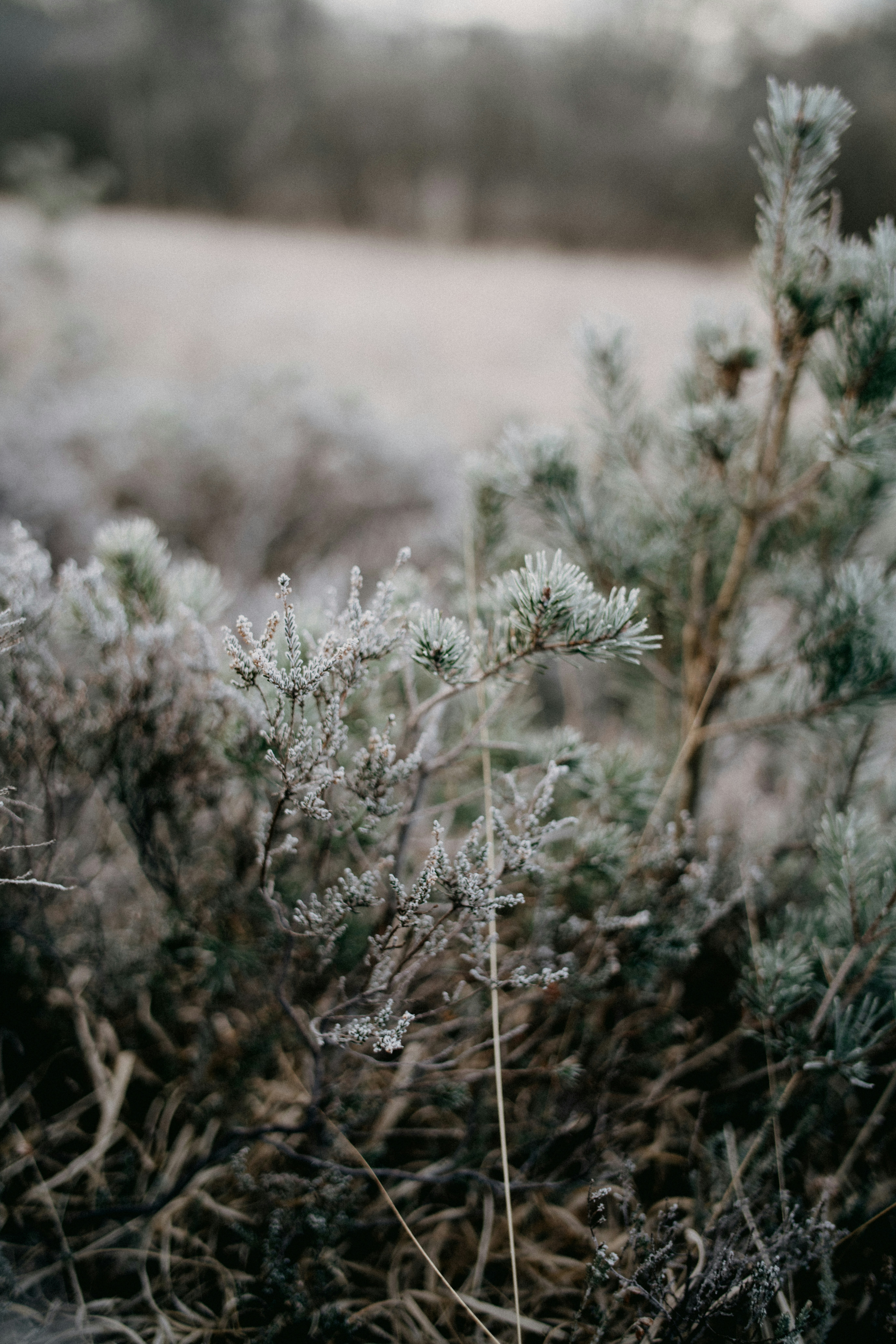 Photo by anniespratt