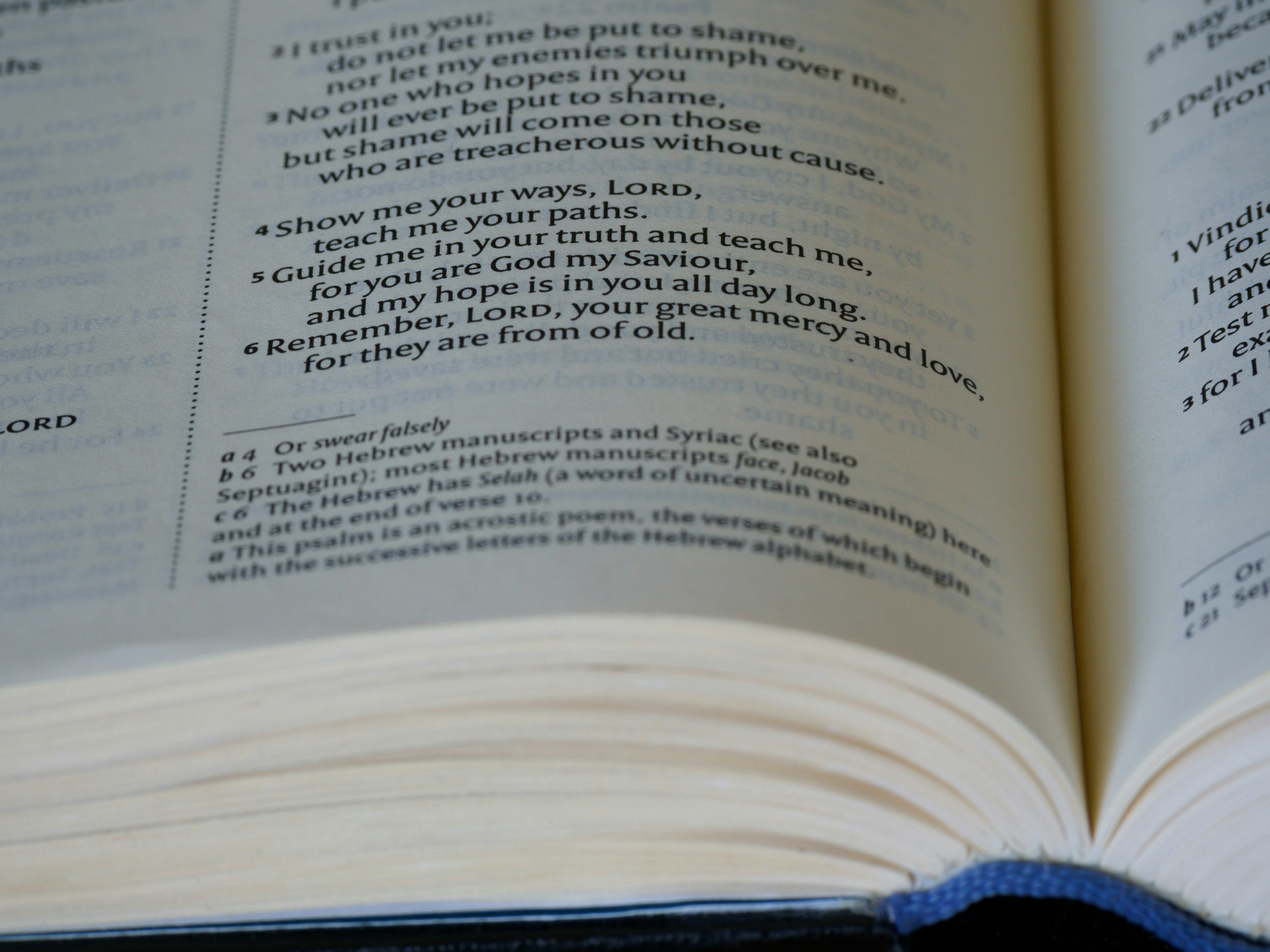 Photo by brett_jordan