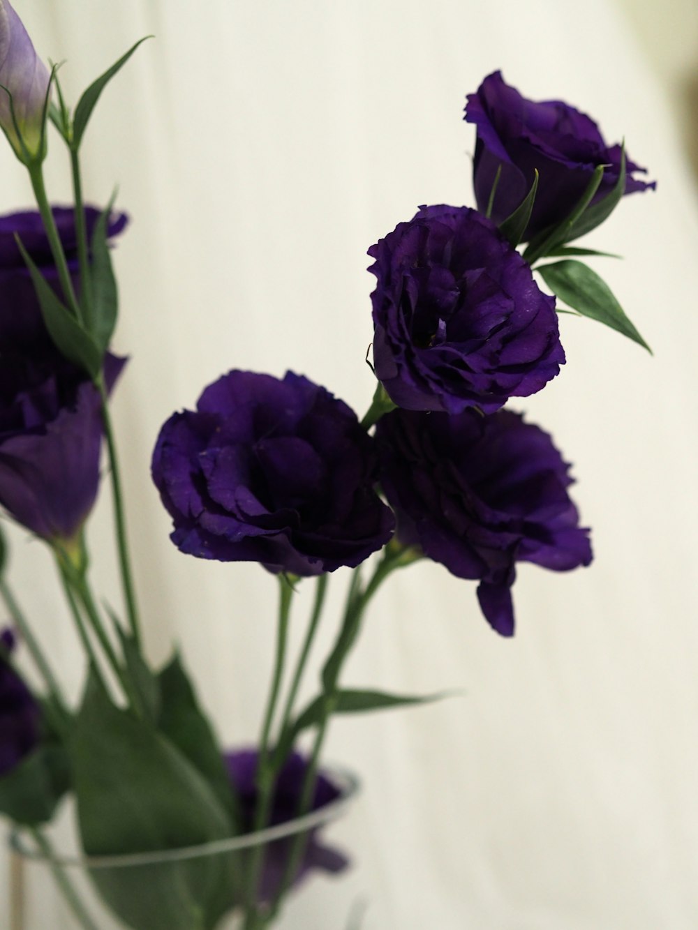 a vase filled with purple flowers on top of a table