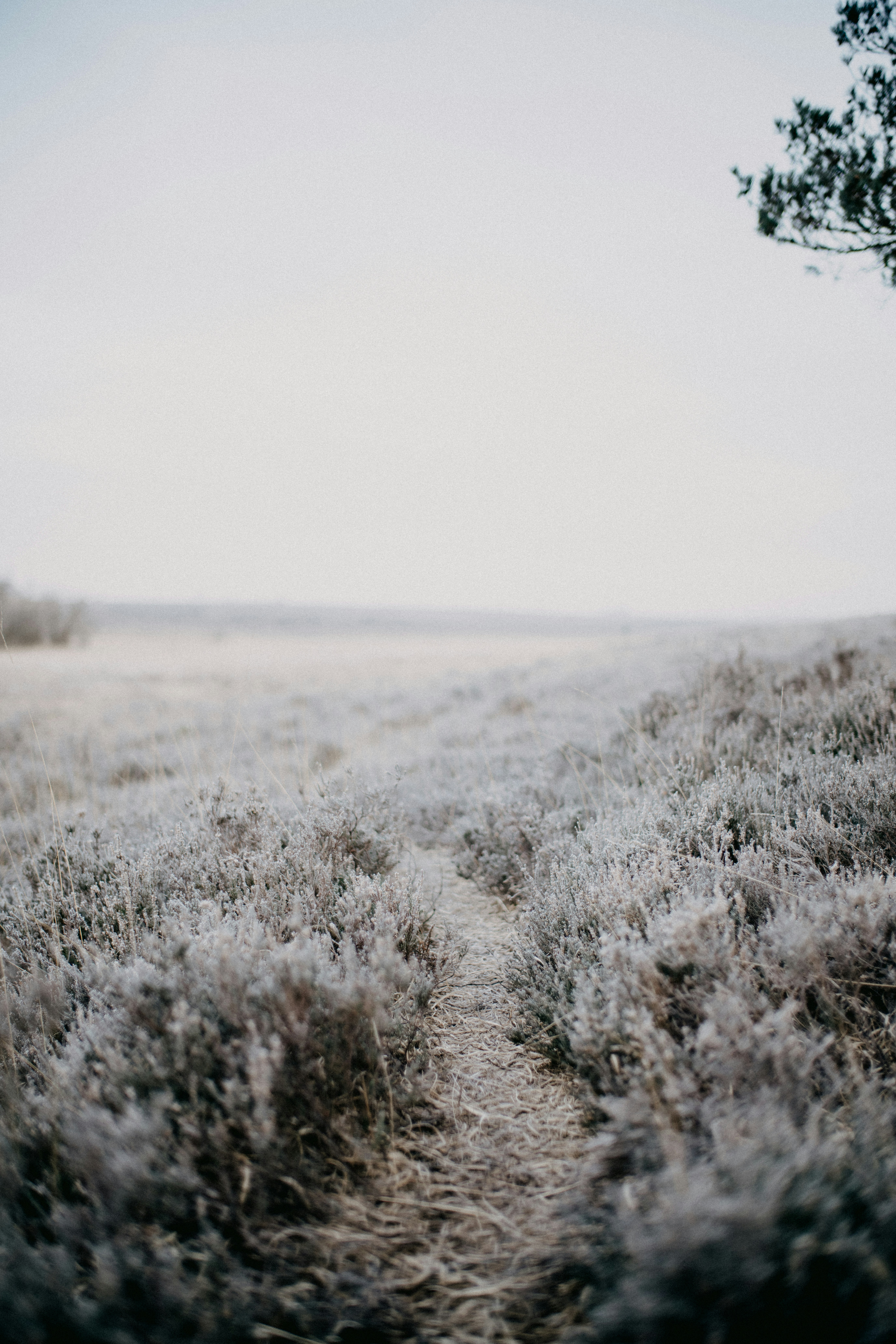 Photo by anniespratt