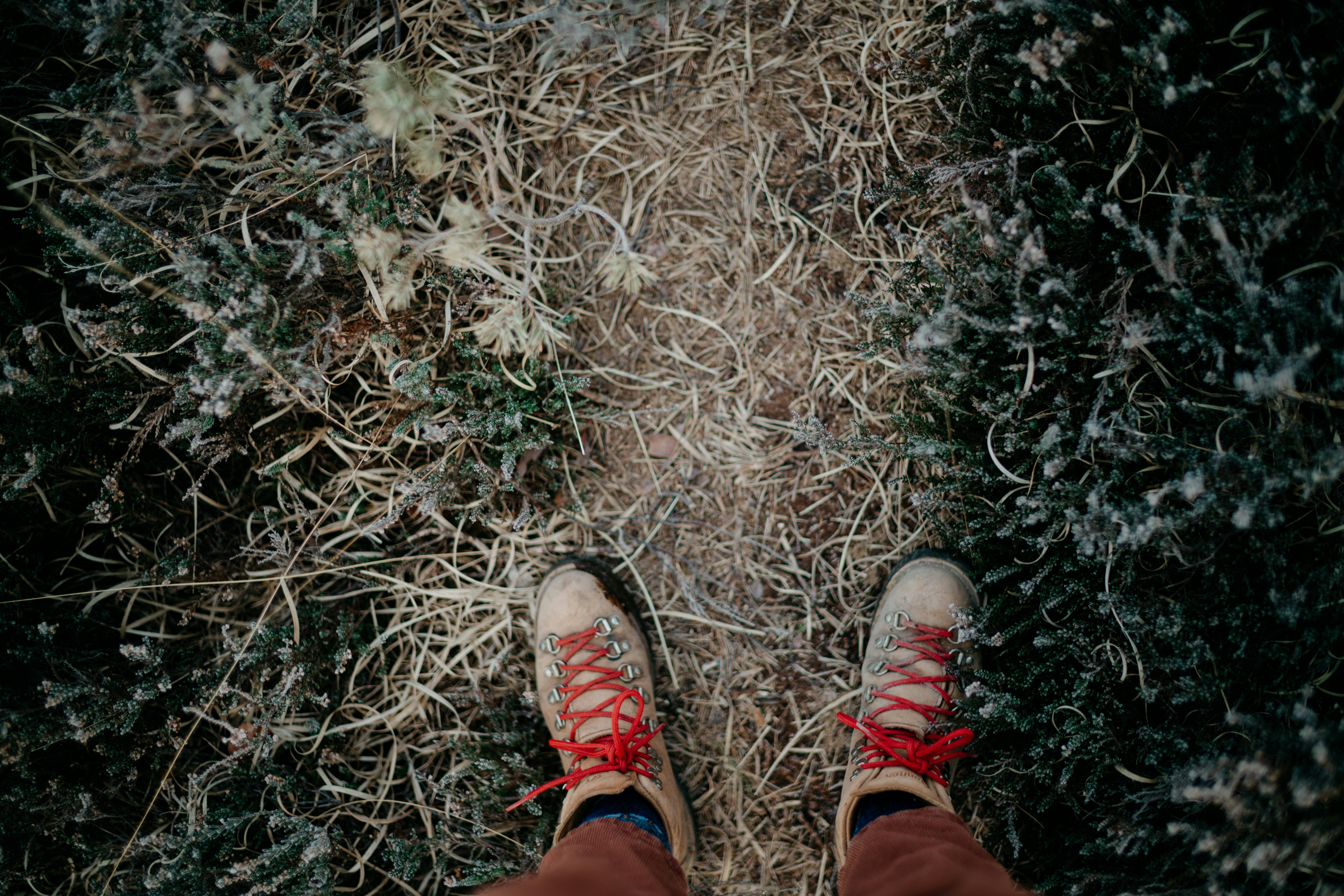 Photo by anniespratt