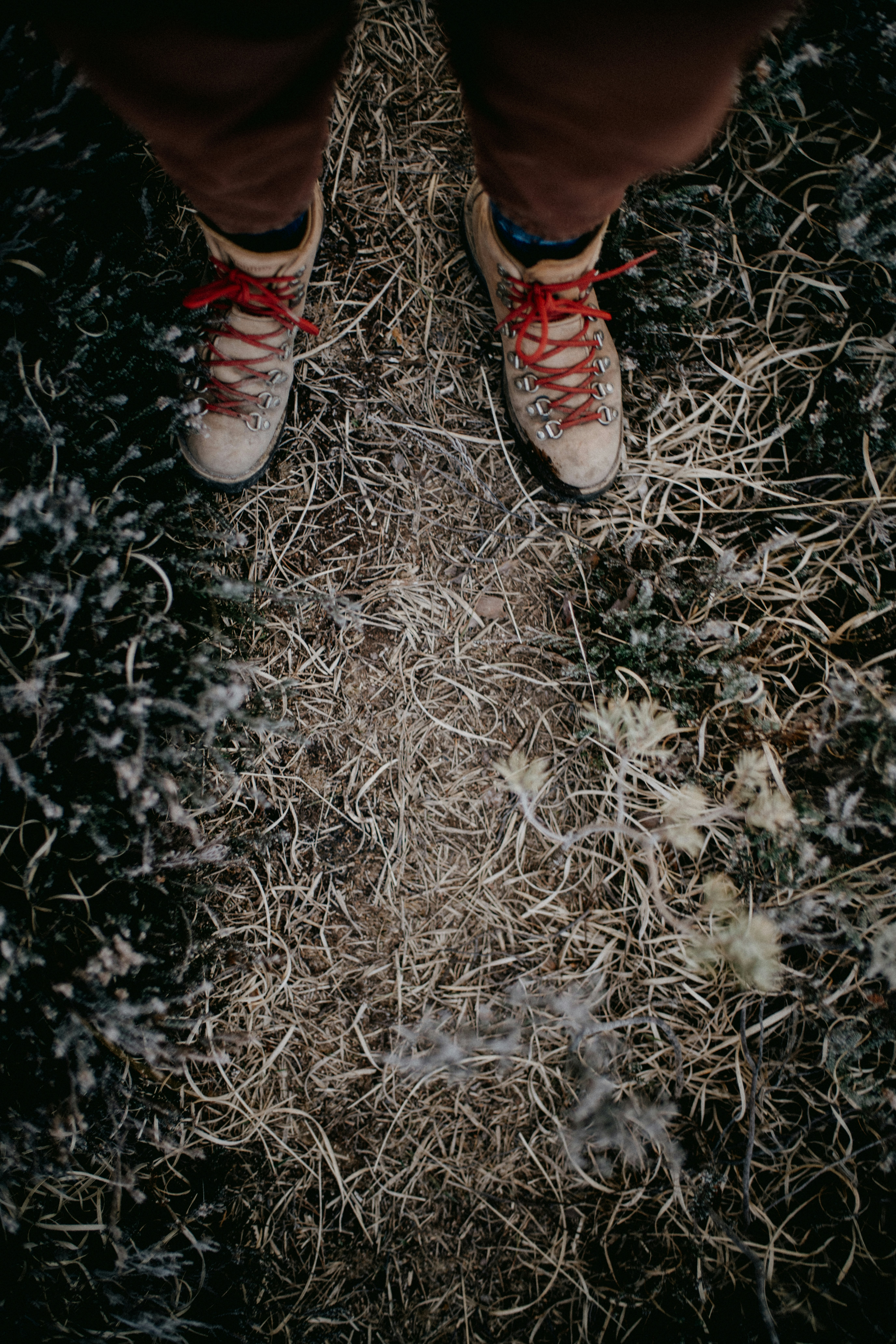 Photo by anniespratt