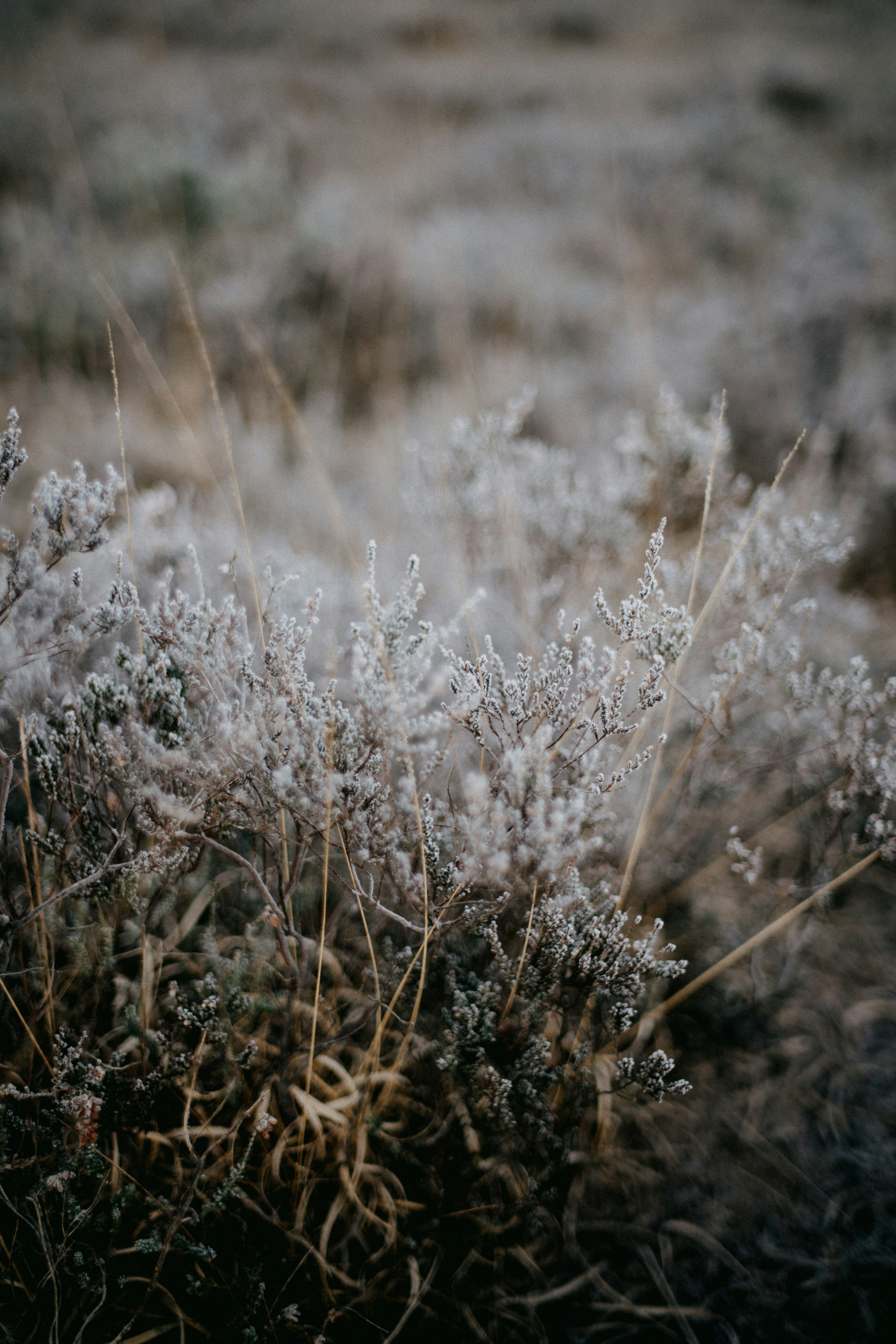 Photo by anniespratt