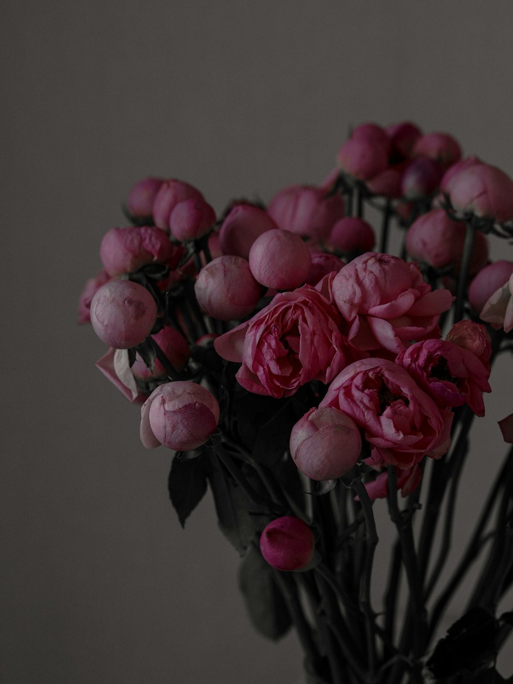 a bunch of pink flowers in a vase