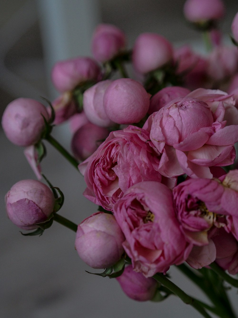 a vase filled with pink flowers on top of a table