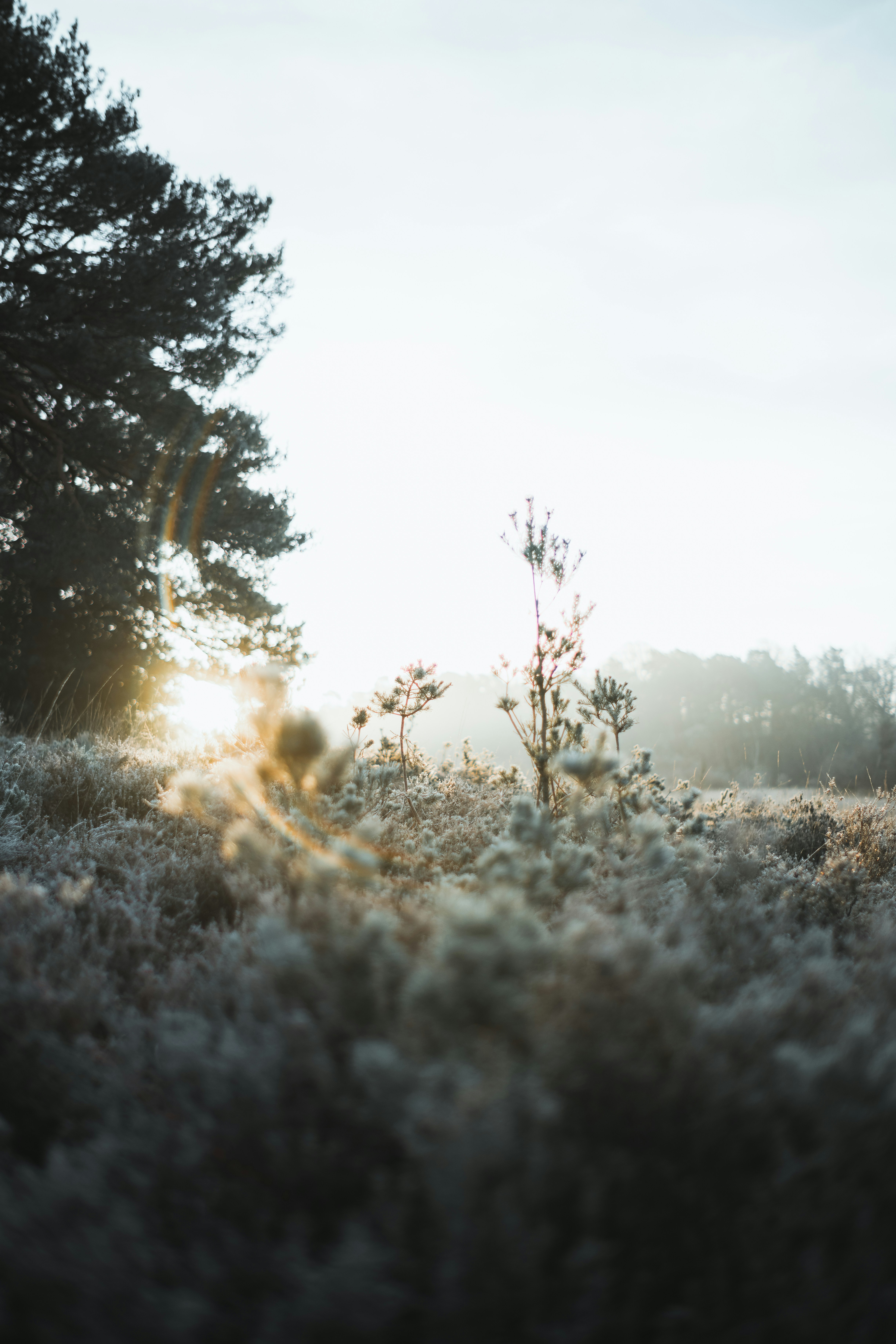 Photo by anniespratt