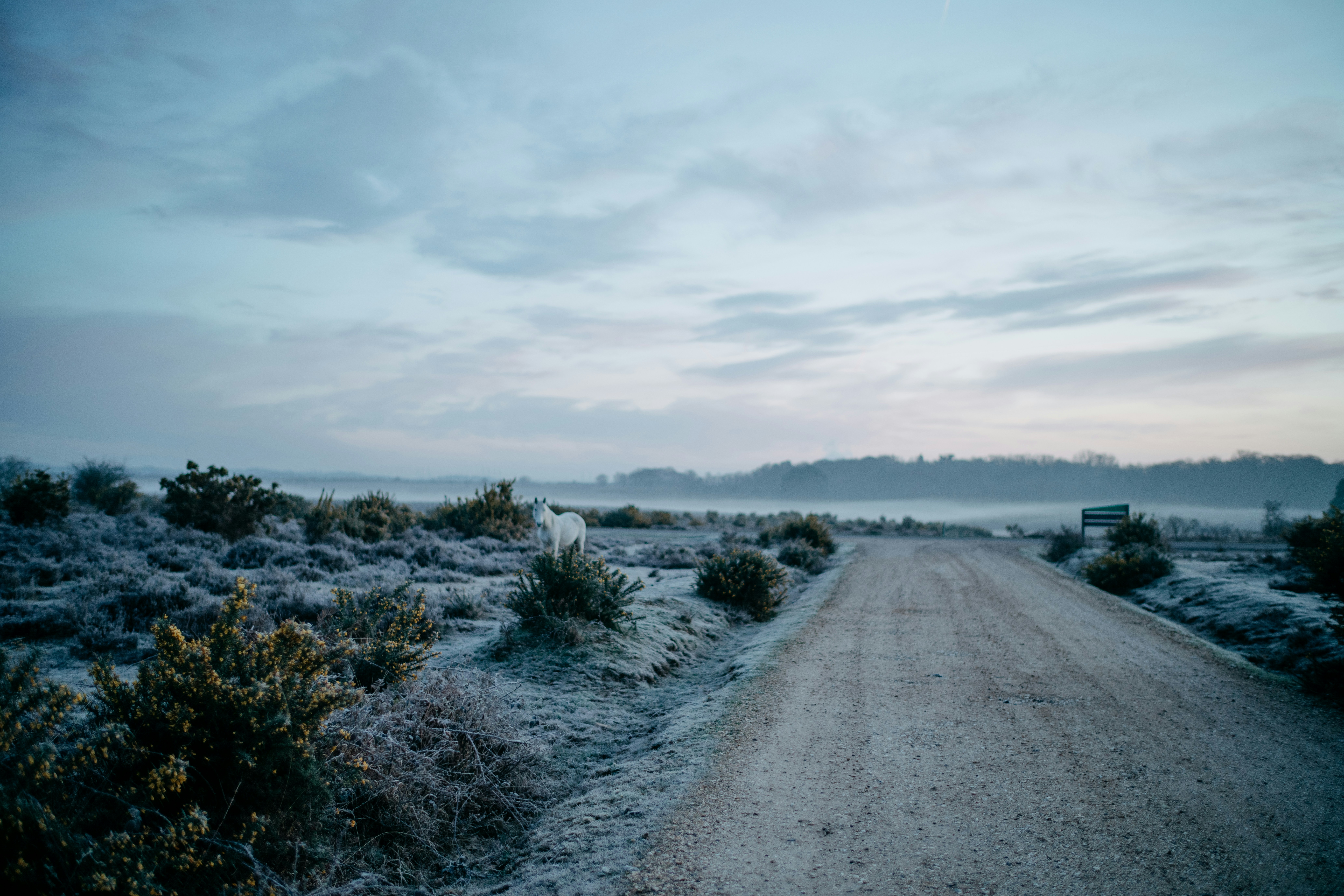 Photo by anniespratt