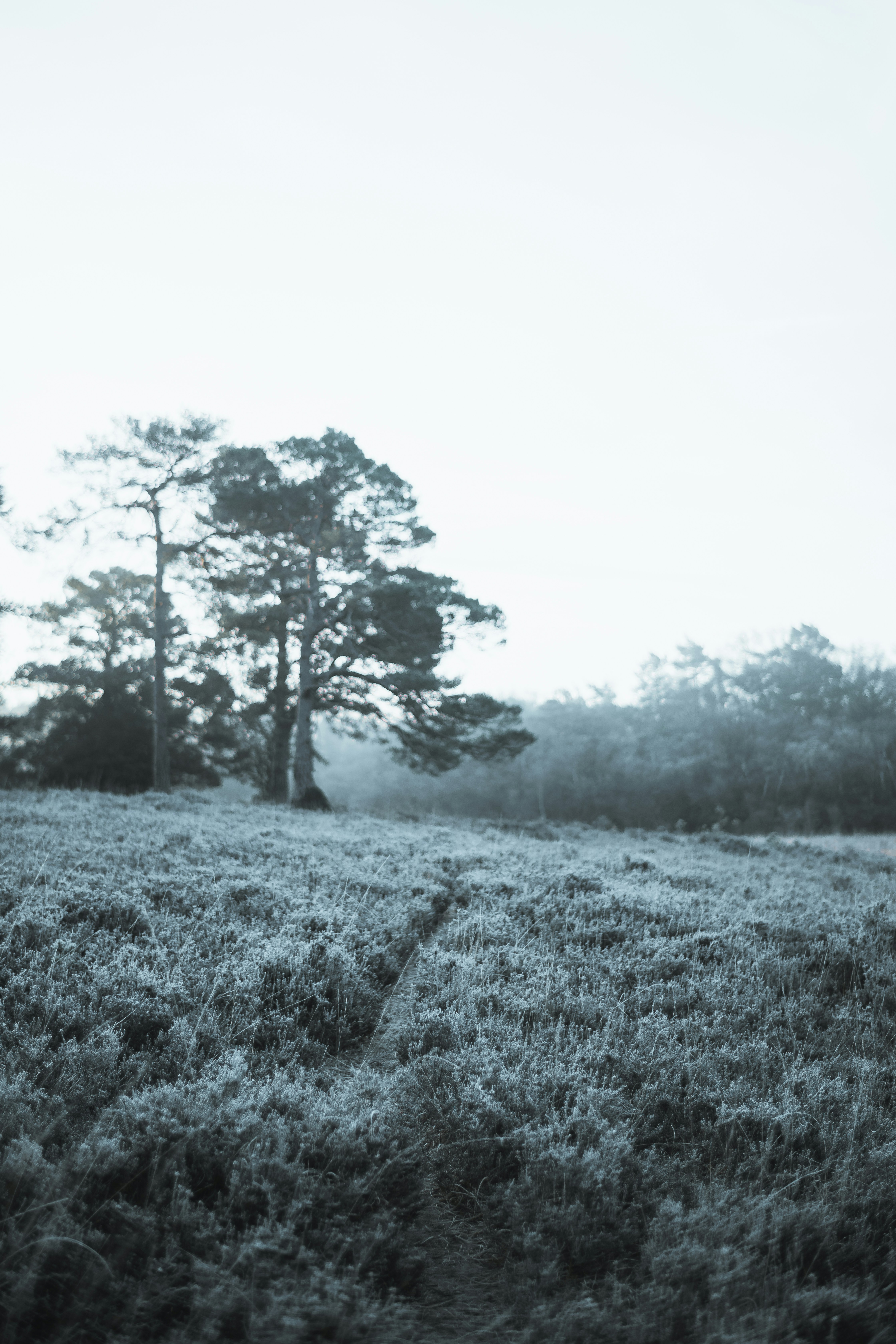 Photo by anniespratt