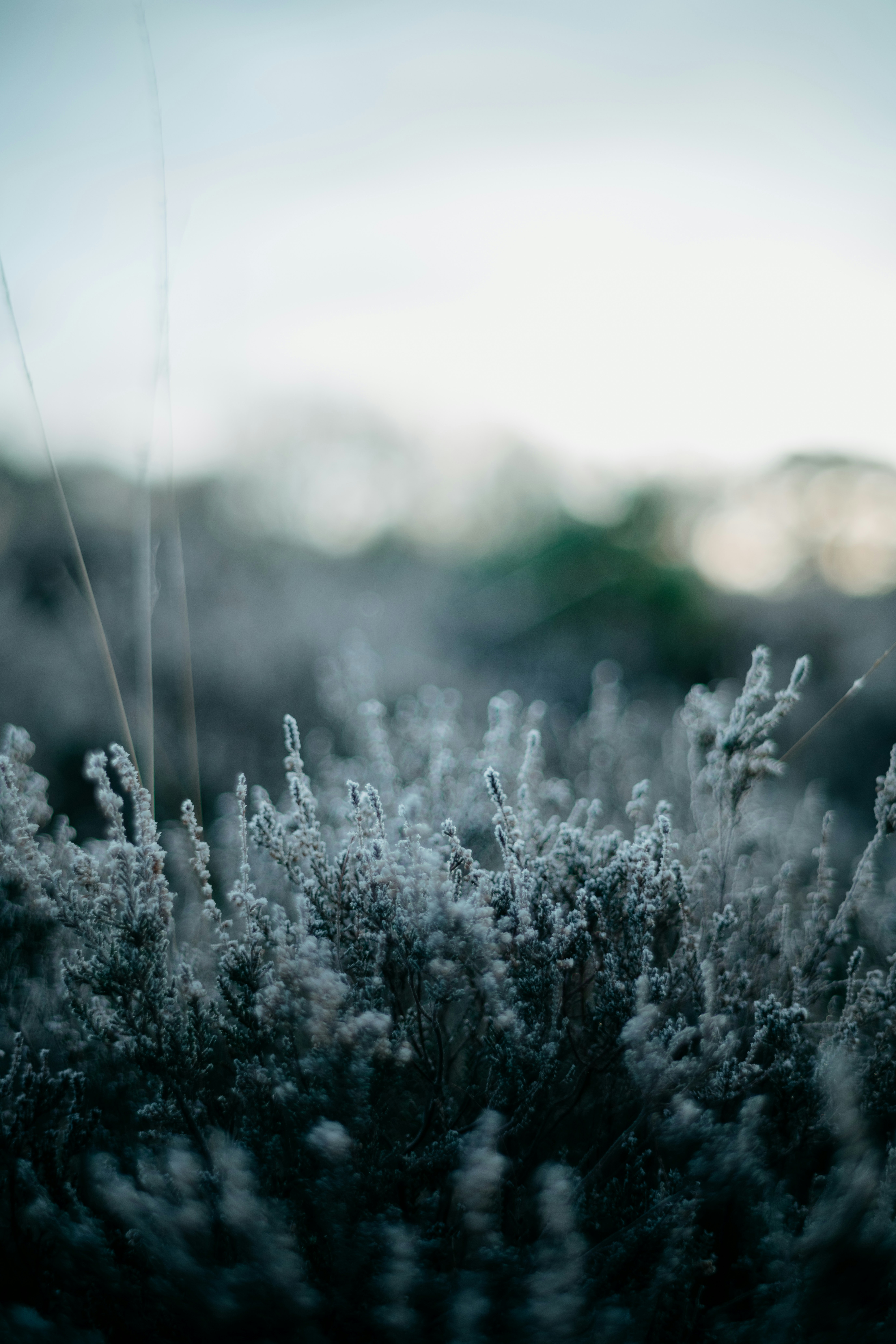 Photo by anniespratt