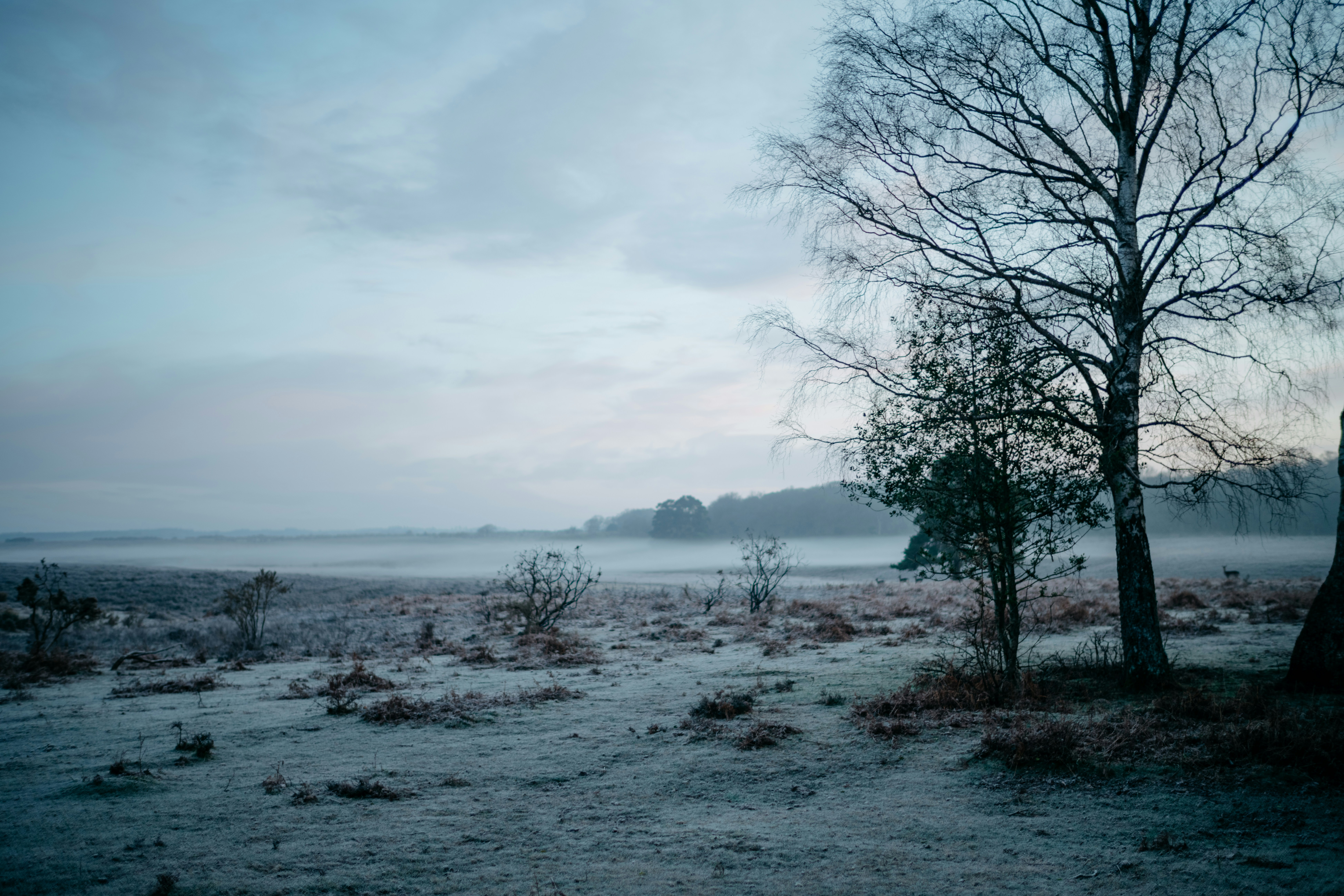 Photo by anniespratt