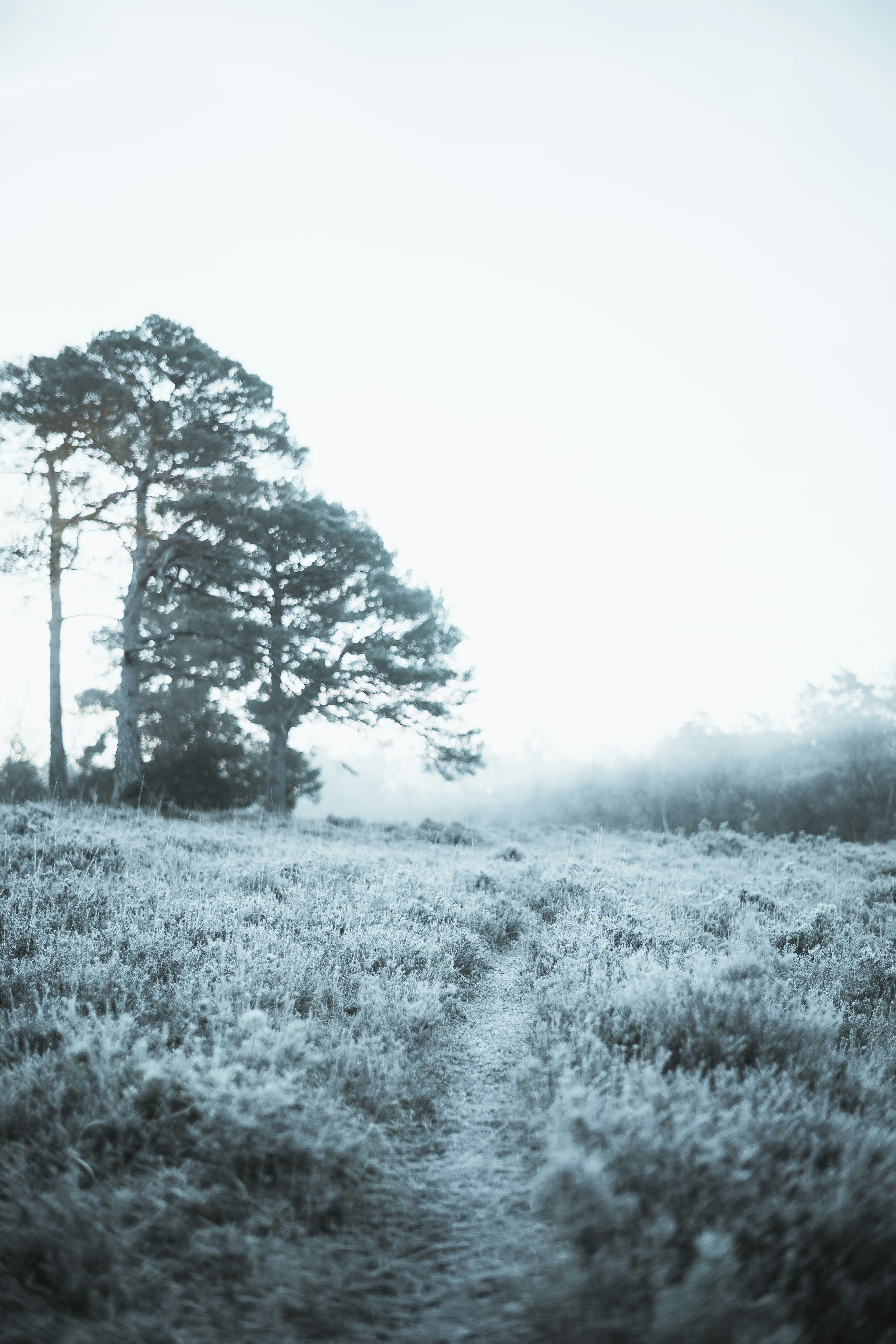 Photo by anniespratt