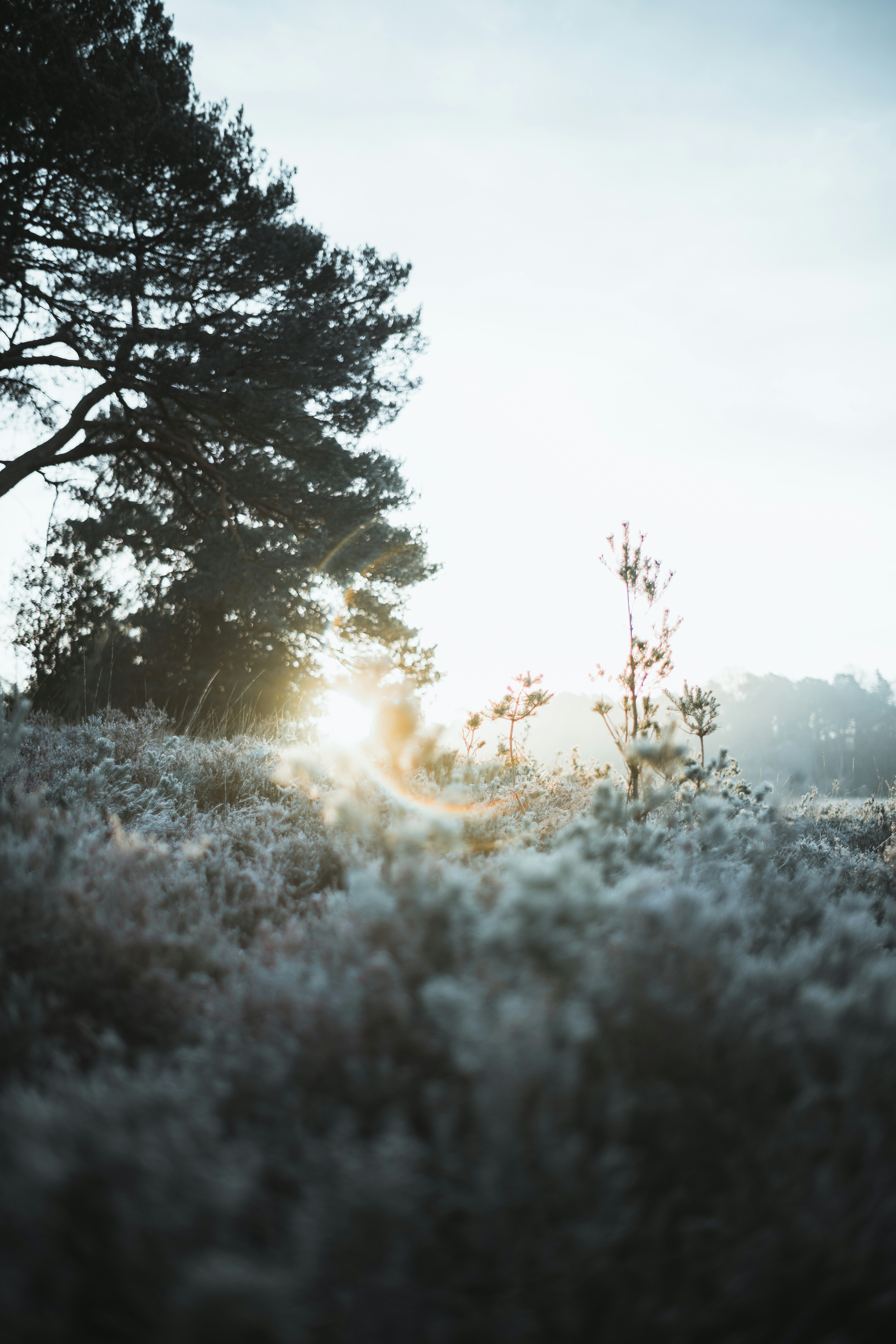 Photo by anniespratt