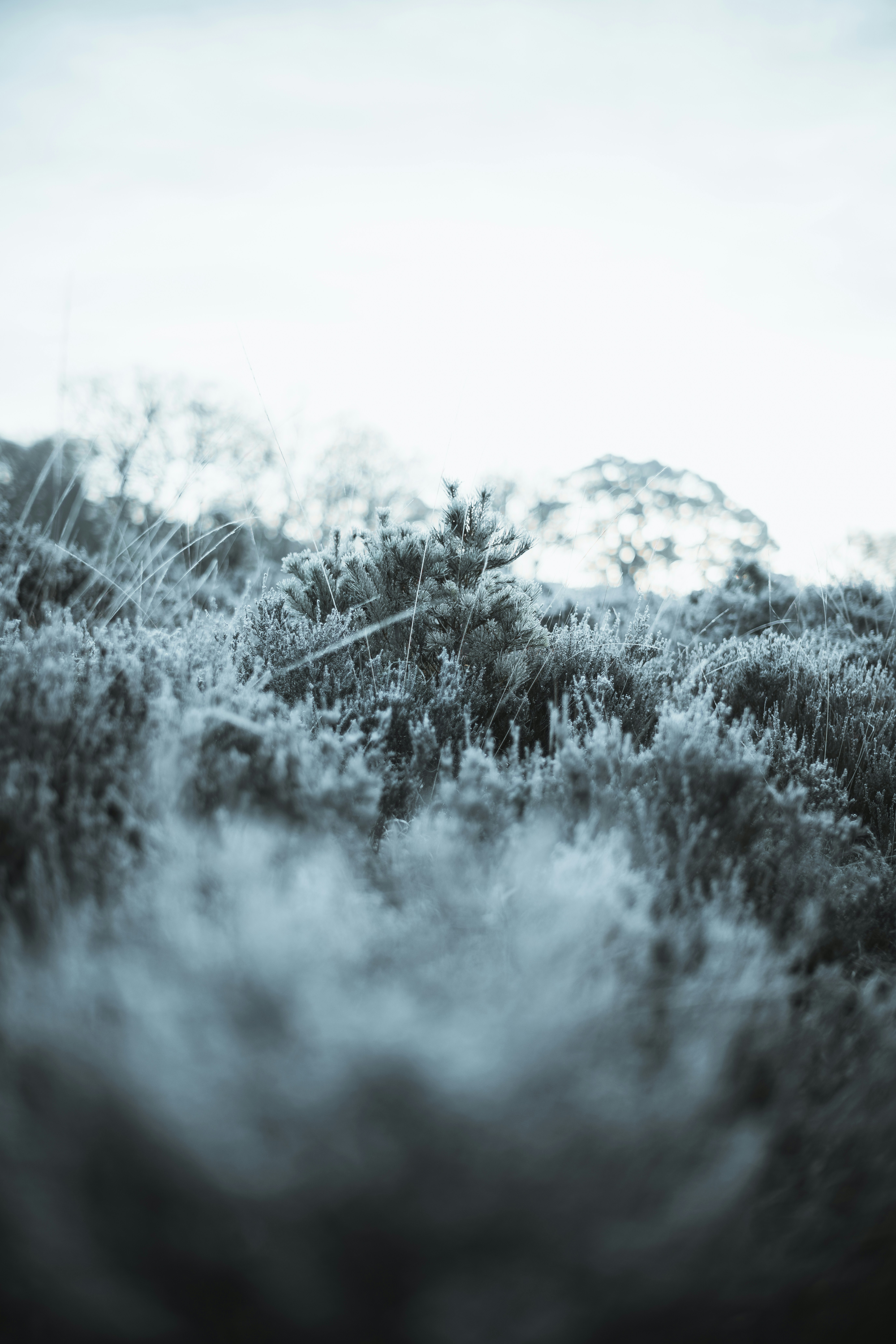 Photo by anniespratt