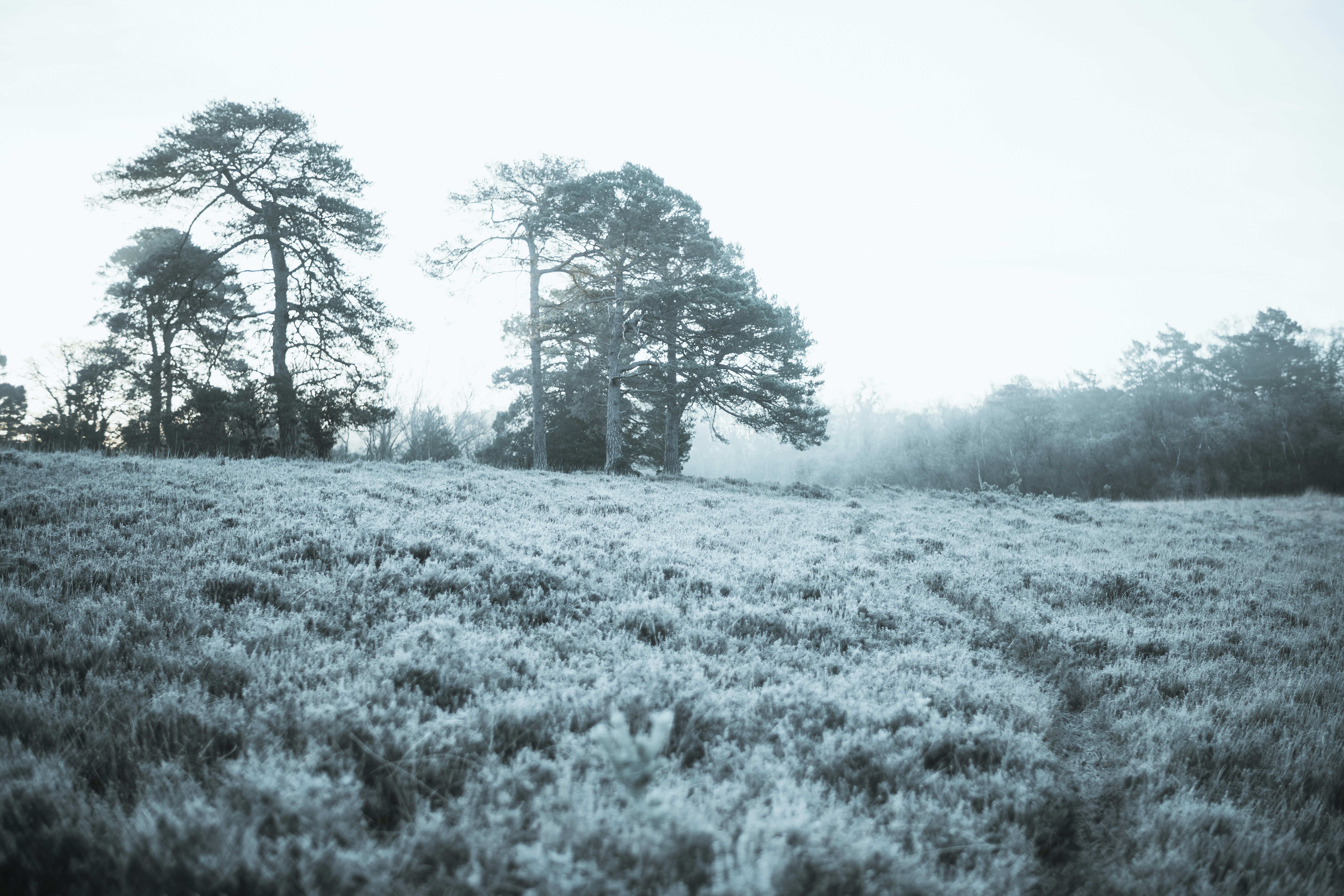 Photo by anniespratt