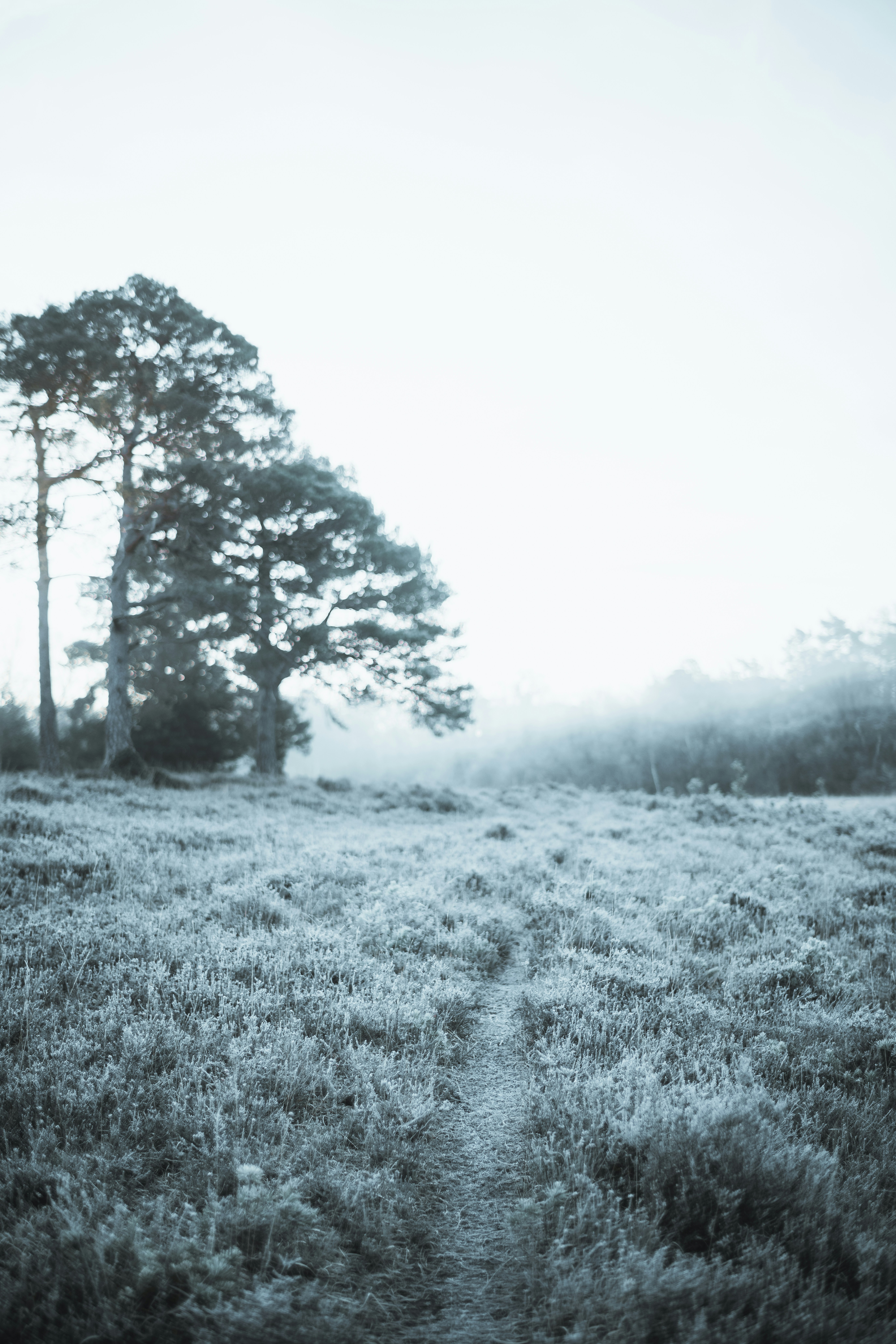 Photo by anniespratt