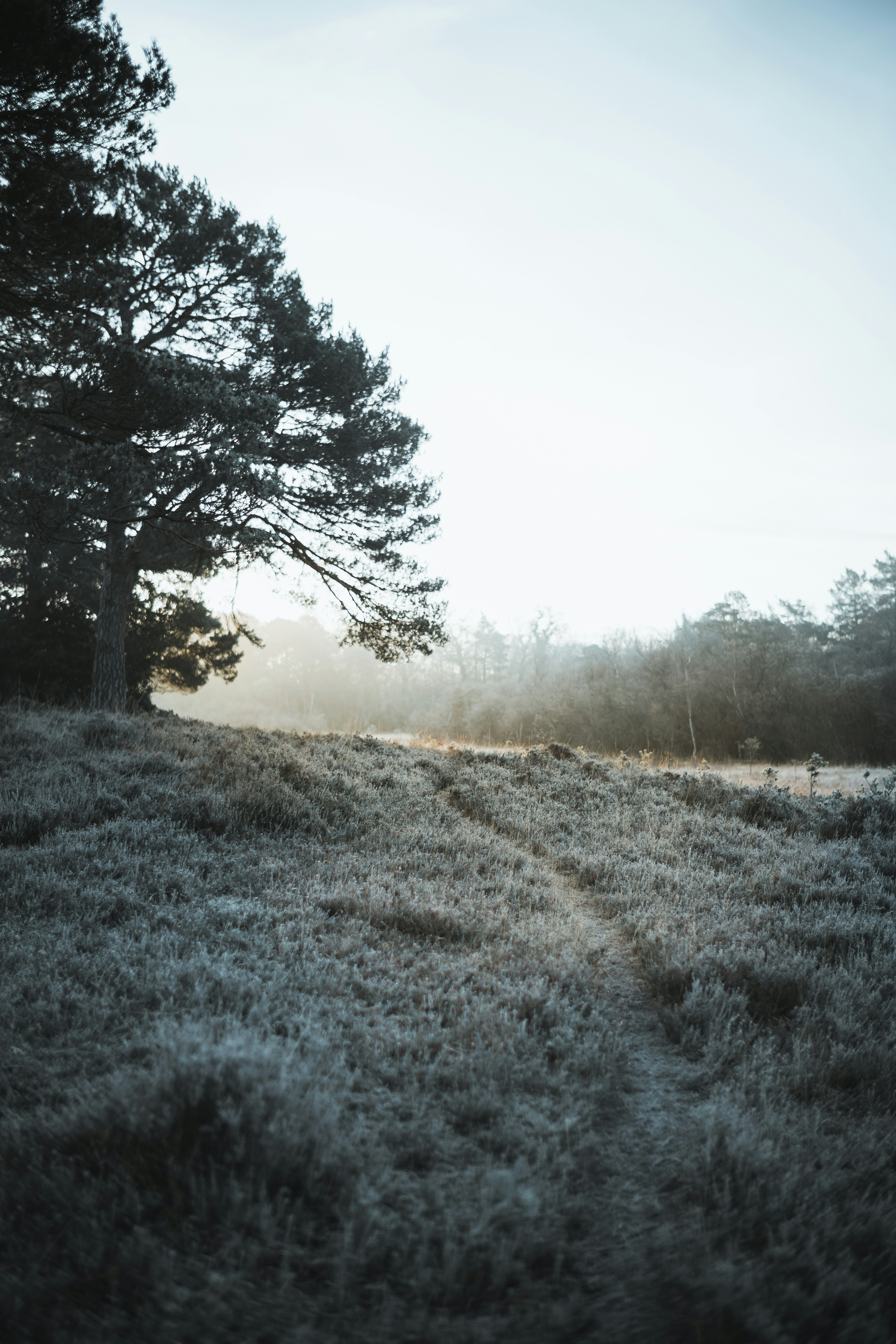 Photo by anniespratt