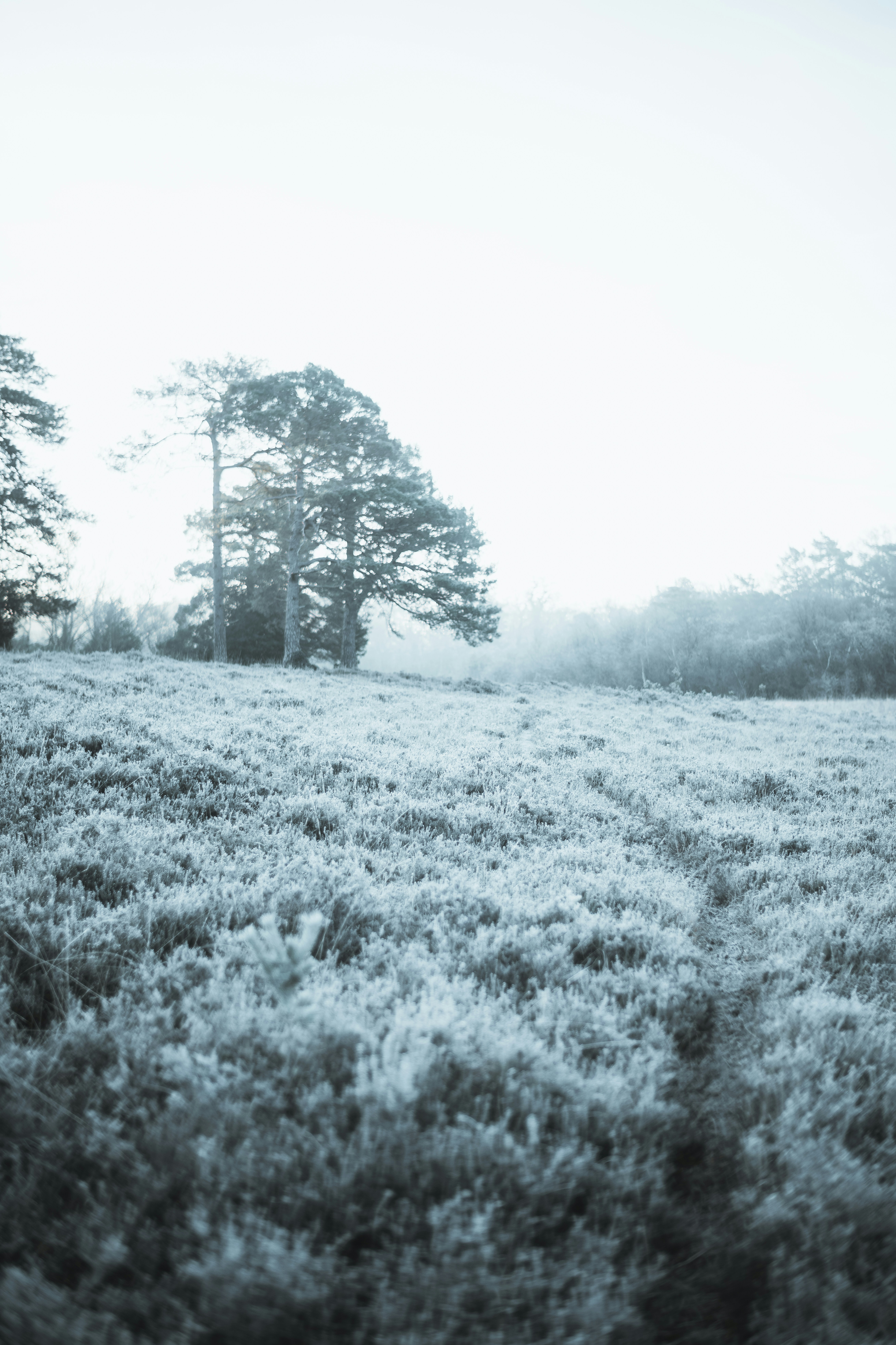 Photo by anniespratt