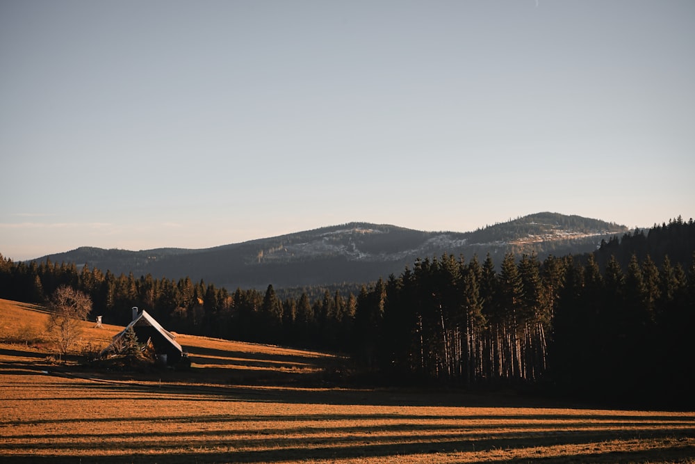 a field with trees and mountains in the background