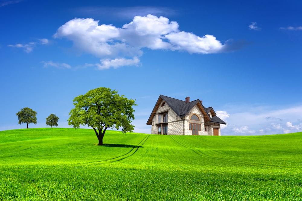 uma casa em uma colina com uma árvore em primeiro plano