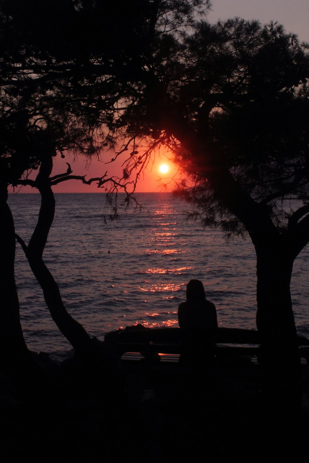 a person sitting on a bench near the water